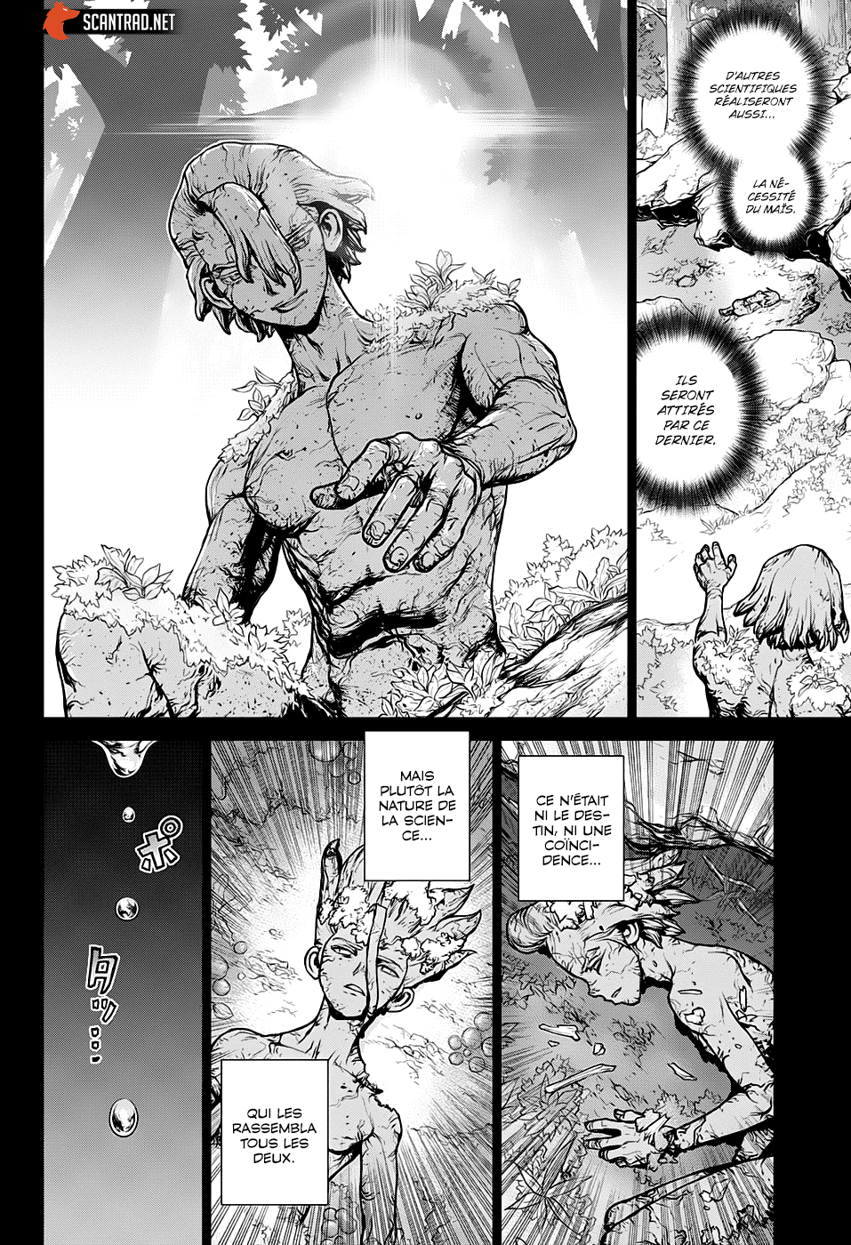 Read Dr. Stone FR Manga Online
