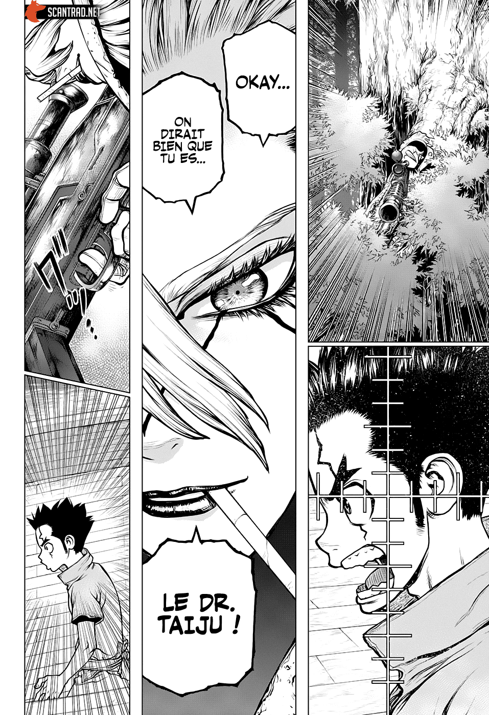 Read Dr. Stone FR Manga Online