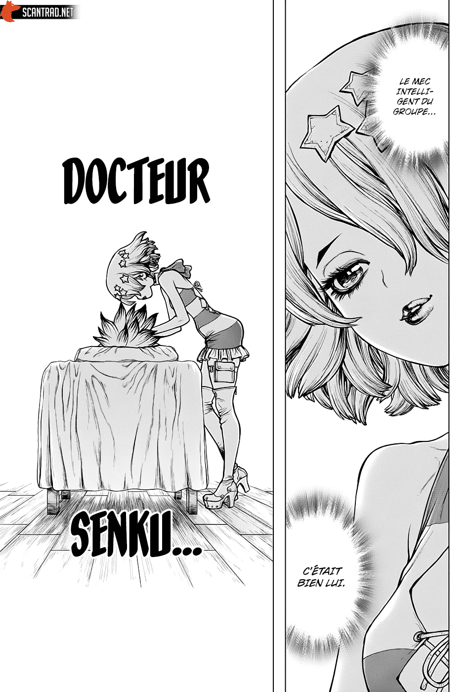 Read Dr. Stone FR Manga Online