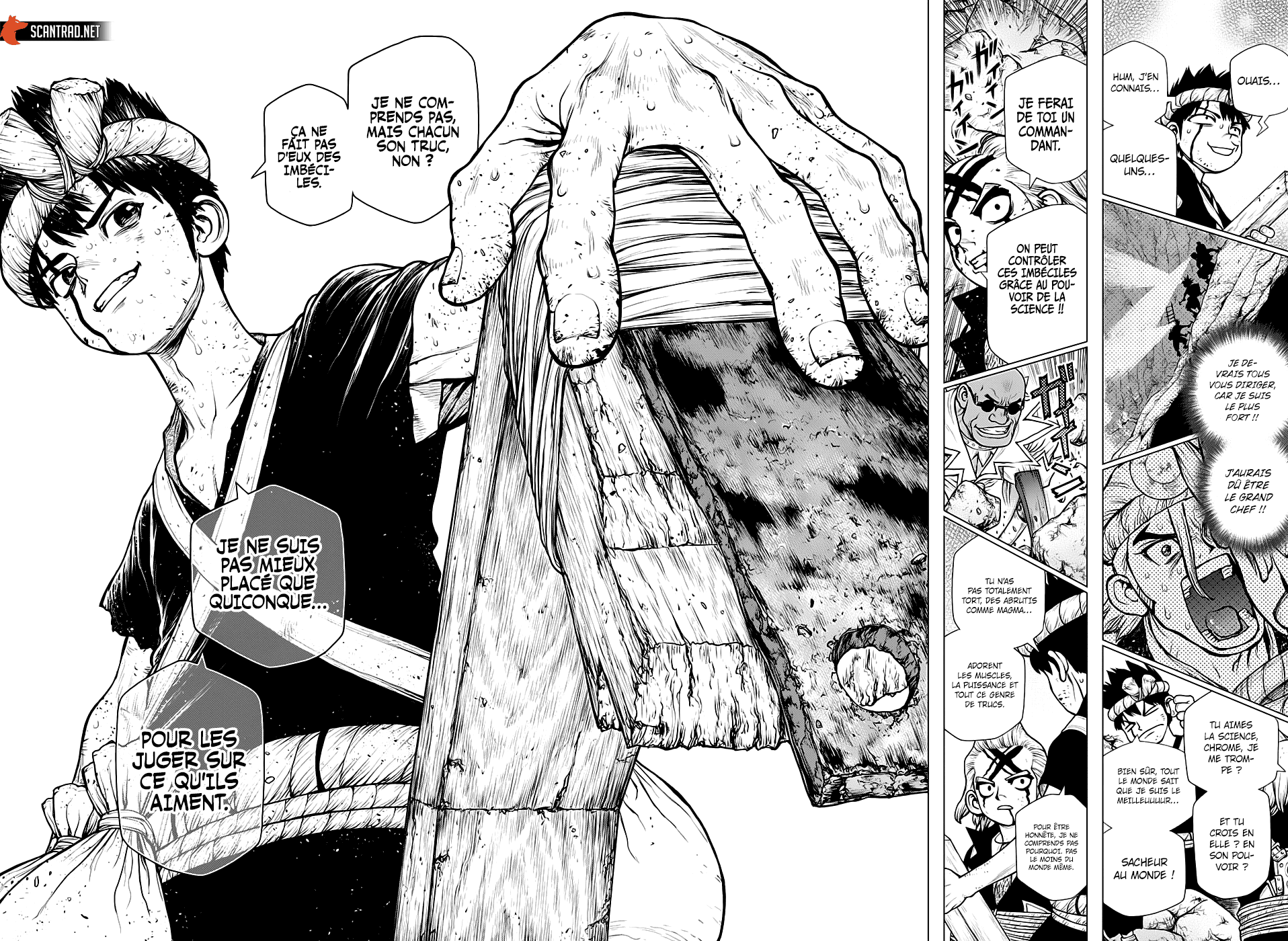 Read Dr. Stone FR Manga Online