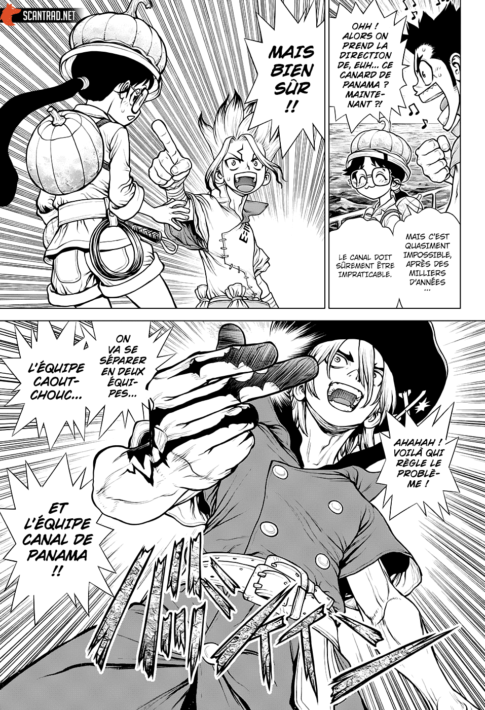 Read Dr. Stone FR Manga Online