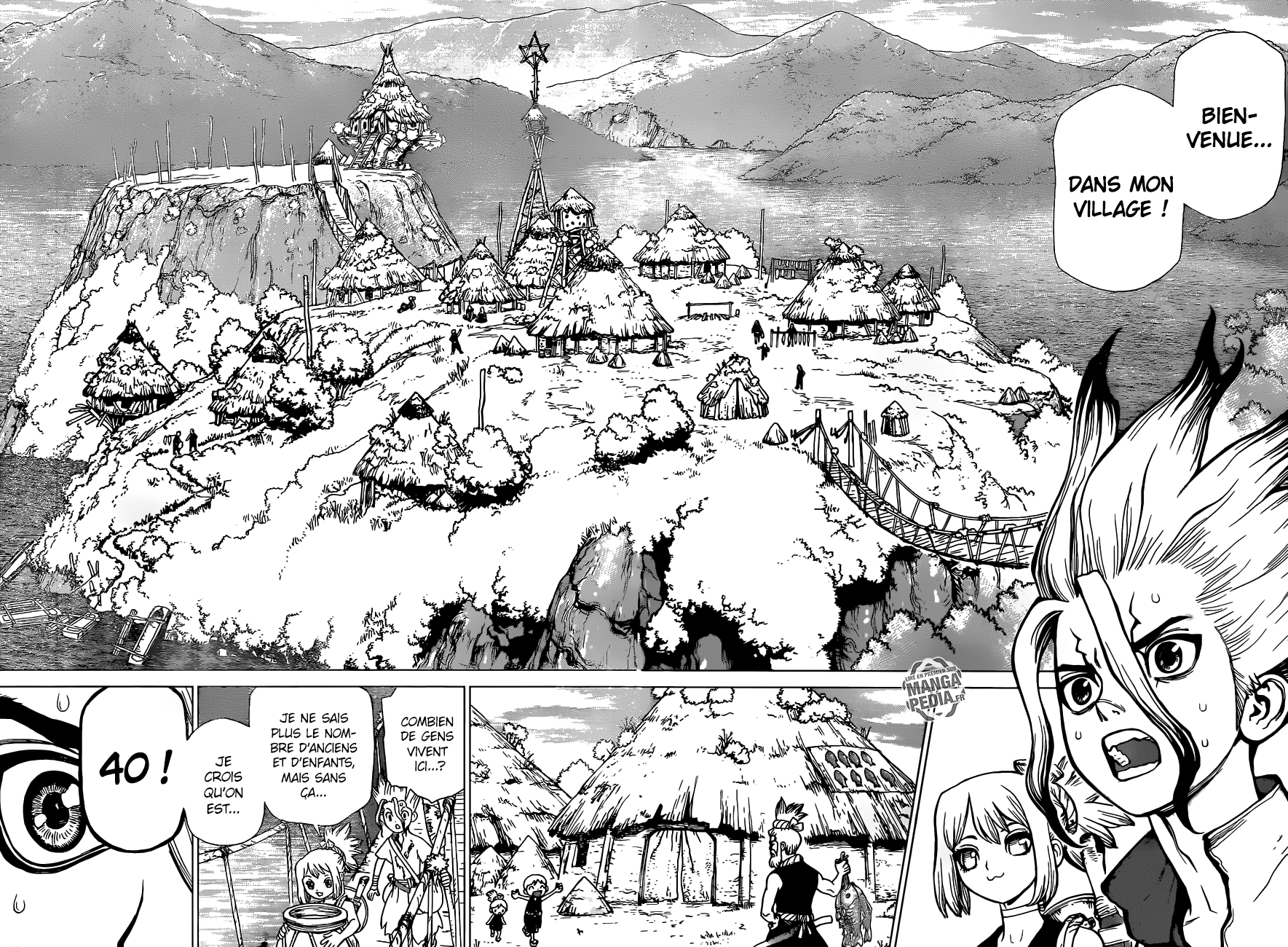 Read Dr. Stone FR Manga Online