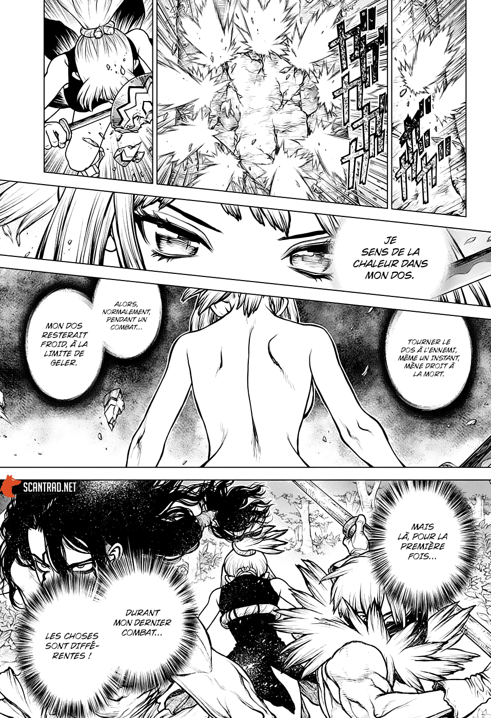 Read Dr. Stone FR Manga Online