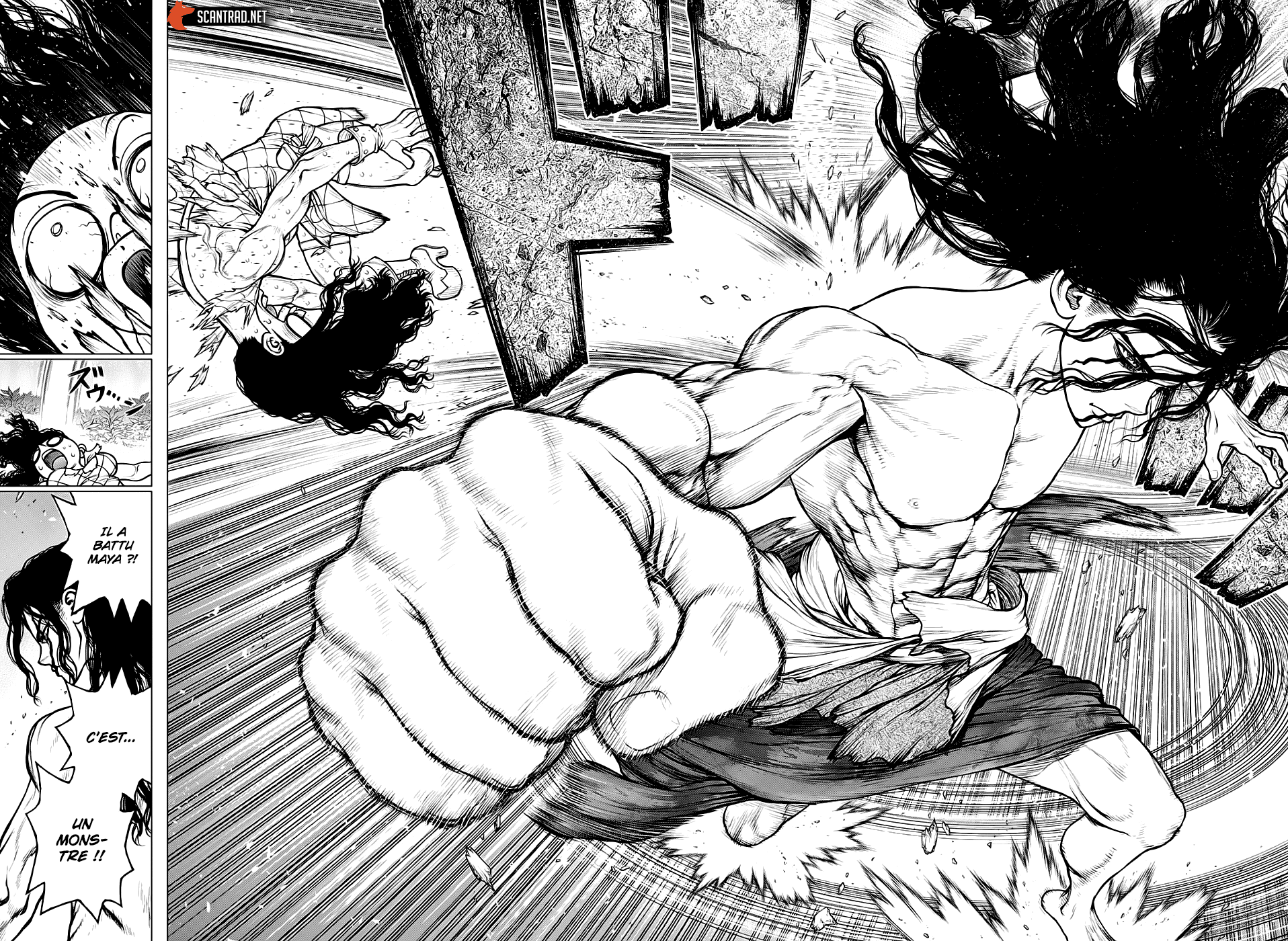 Read Dr. Stone FR Manga Online