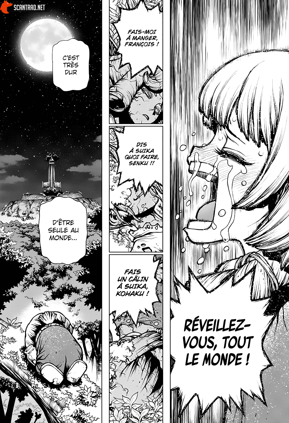 Read Dr. Stone FR Manga Online