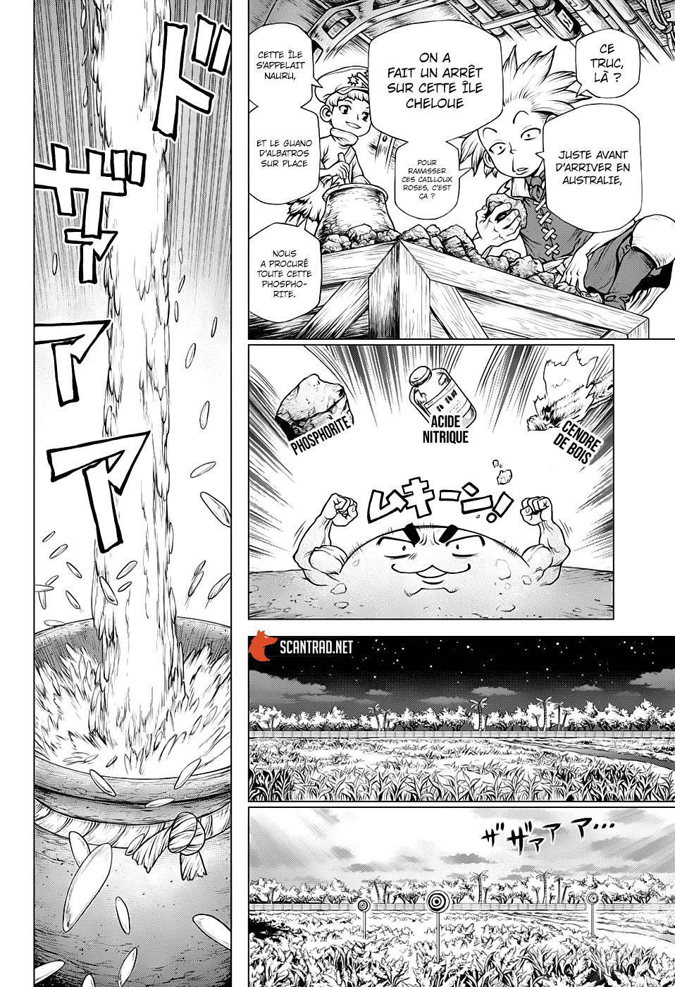 Read Dr. Stone FR Manga Online