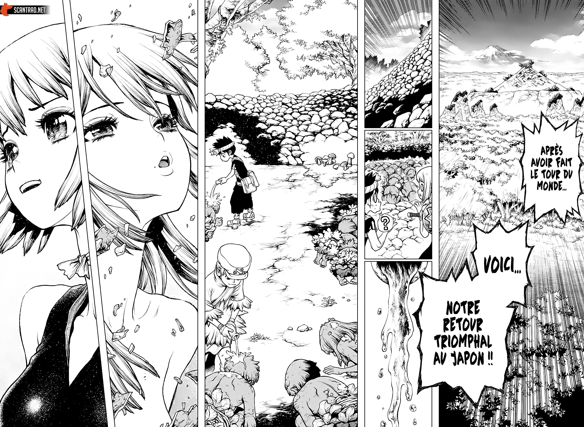 Read Dr. Stone FR Manga Online