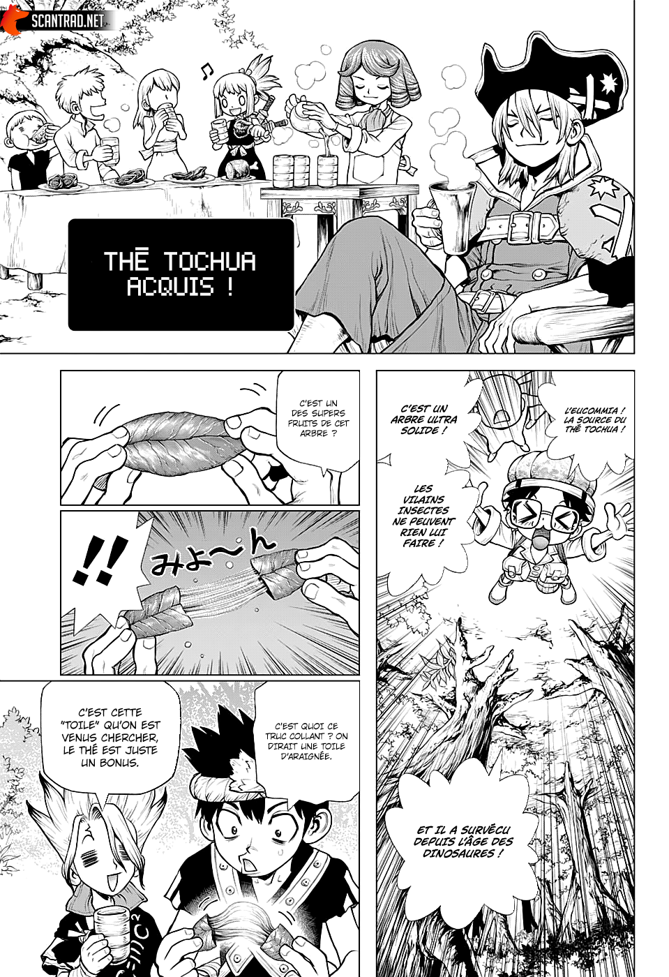 Read Dr. Stone FR Manga Online
