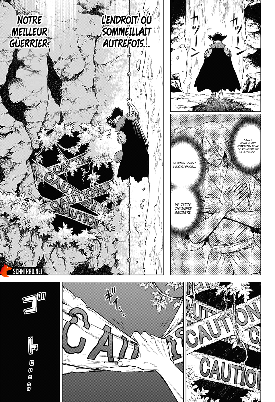 Read Dr. Stone FR Manga Online