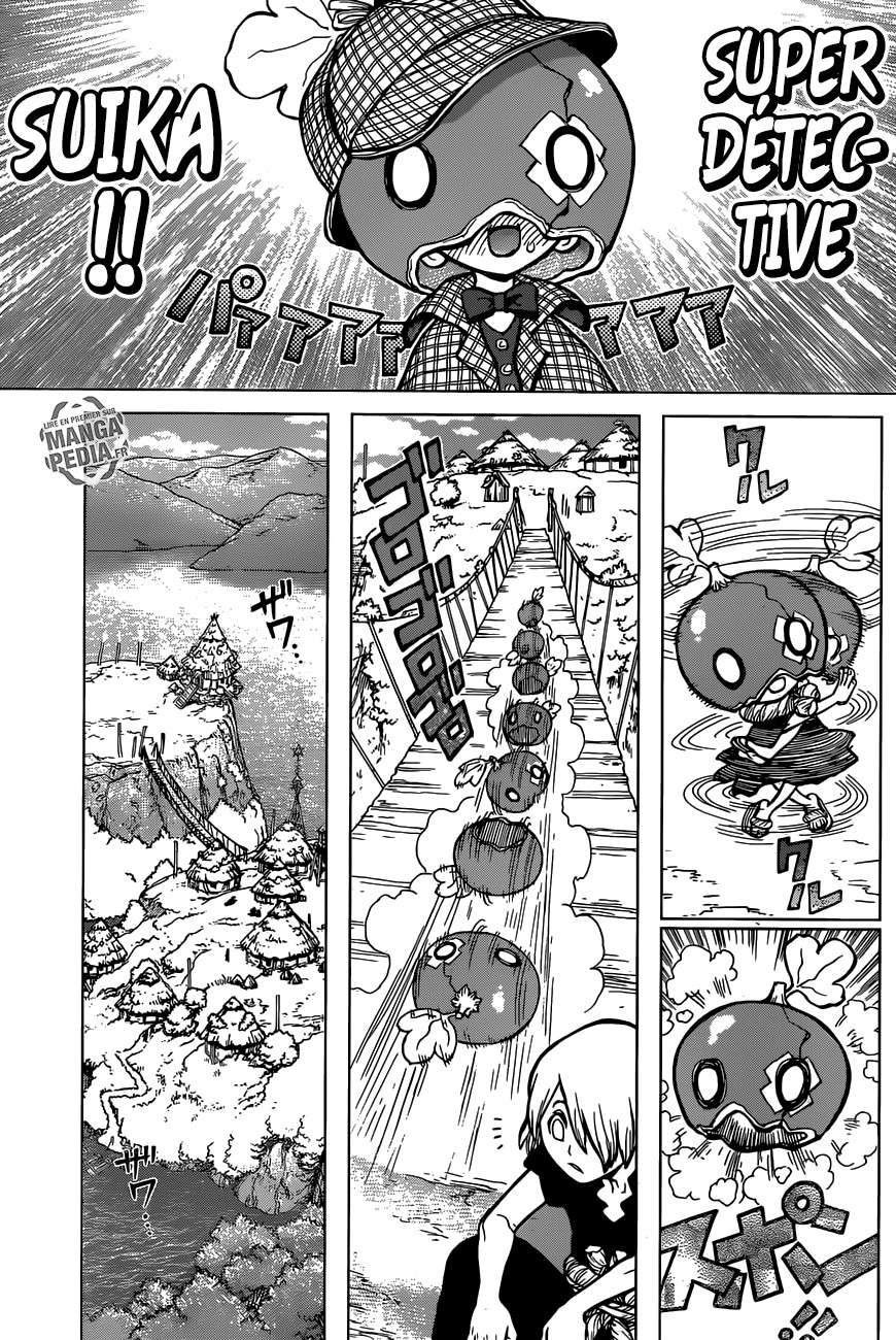 Read Dr. Stone FR Manga Online