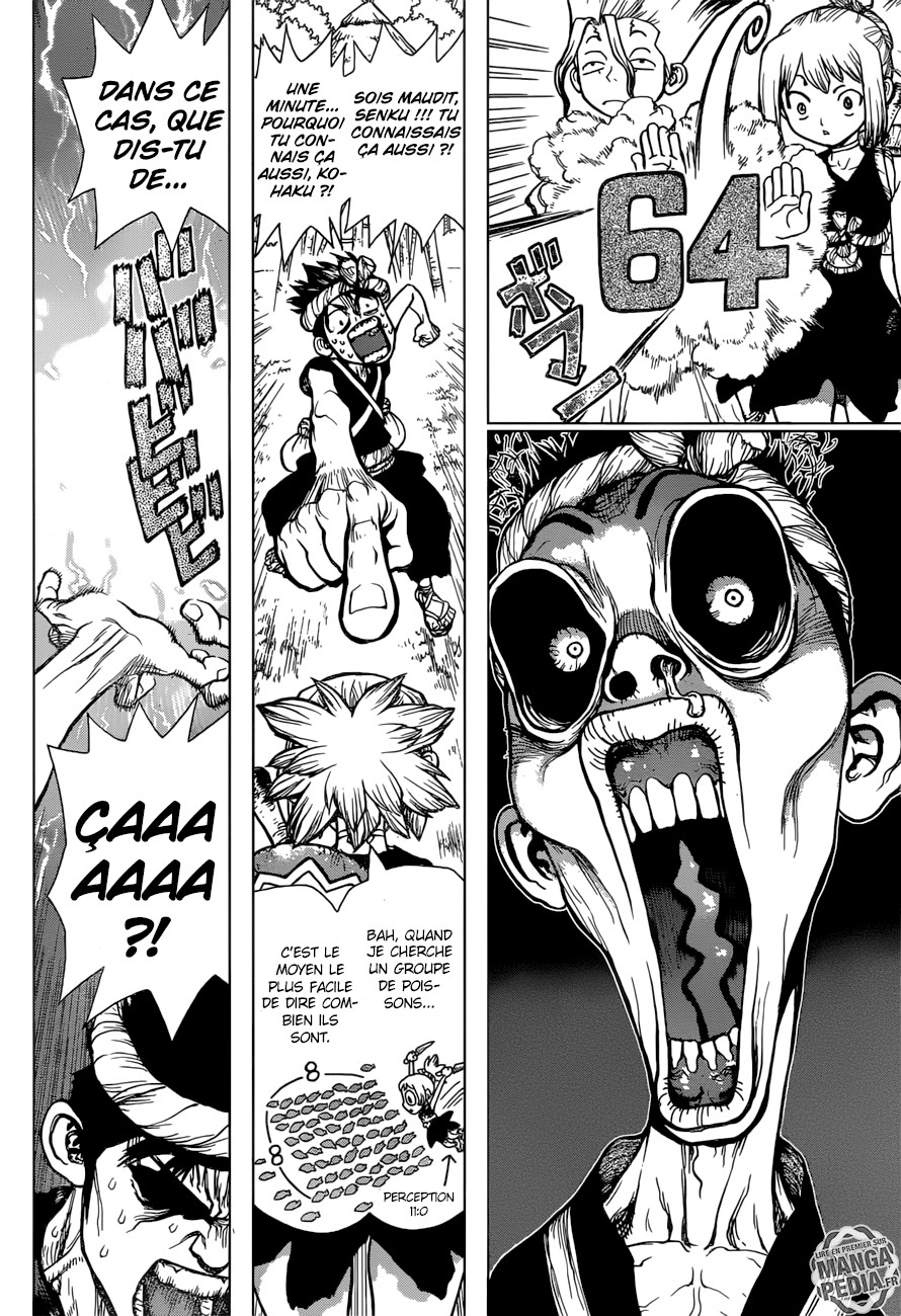 Read Dr. Stone FR Manga Online