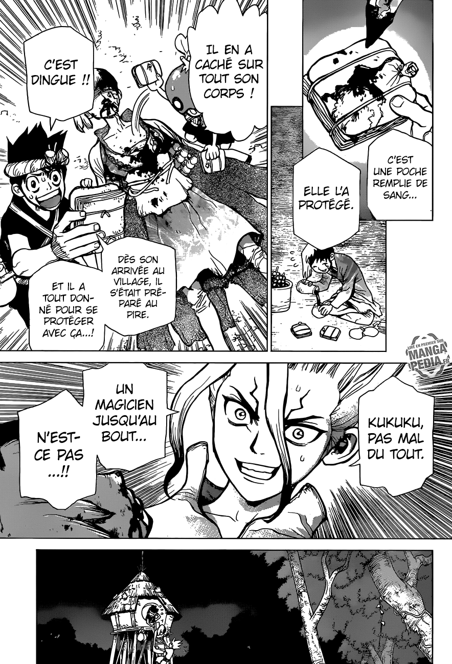 Read Dr. Stone FR Manga Online