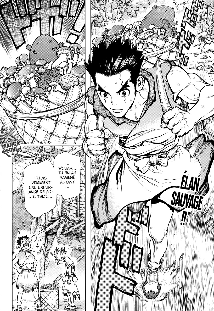 Read Dr. Stone FR Manga Online