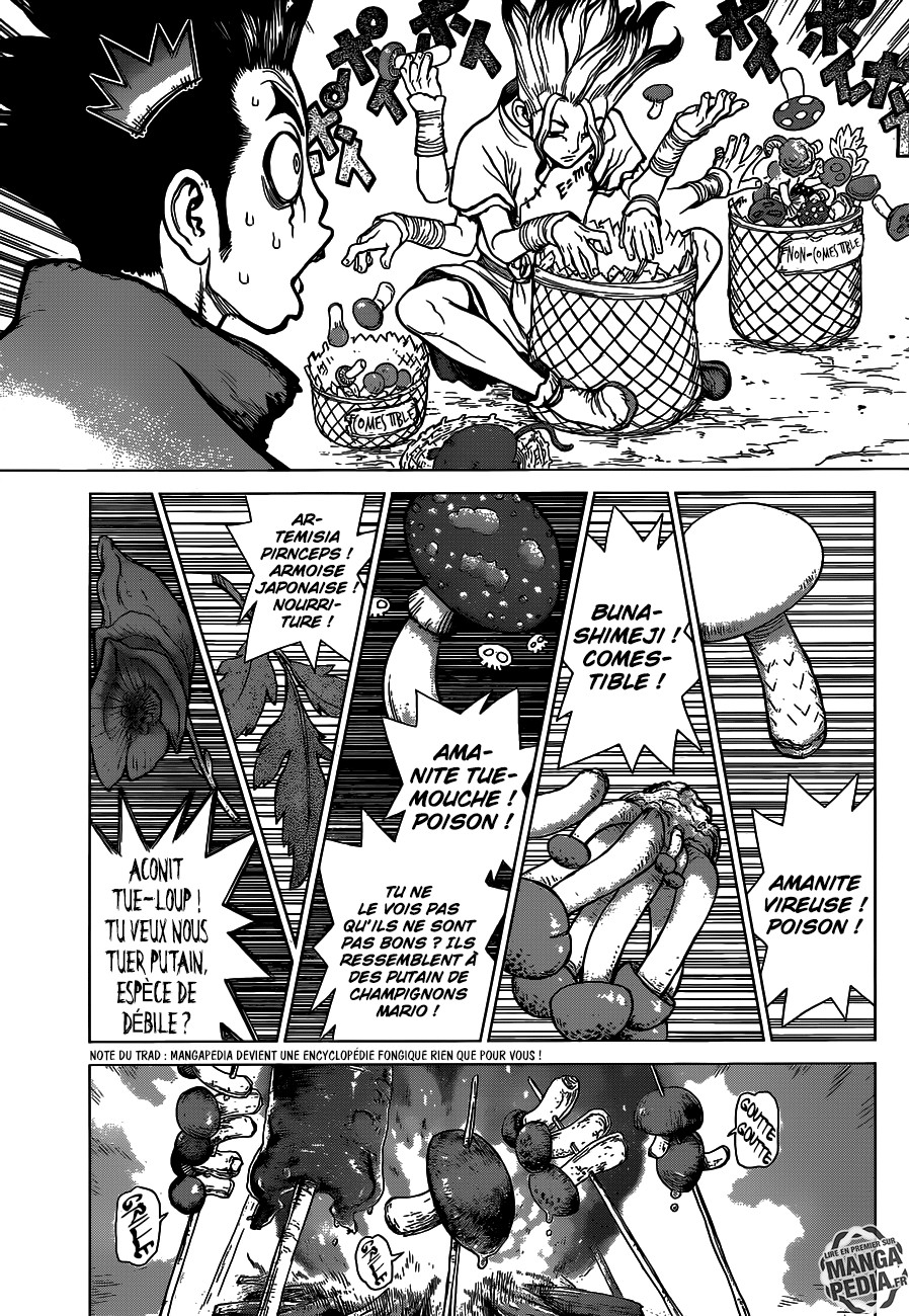 Read Dr. Stone FR Manga Online