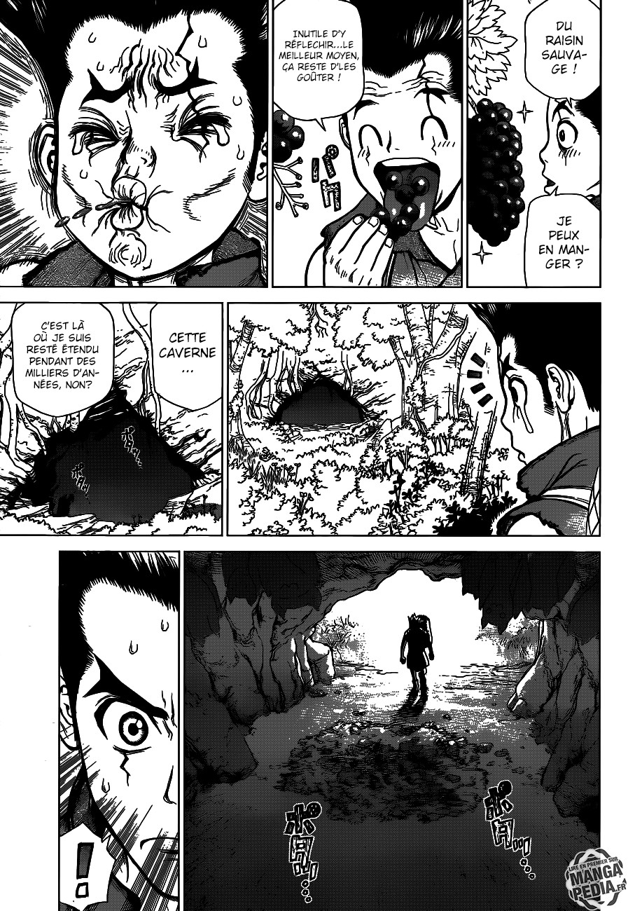 Read Dr. Stone FR Manga Online