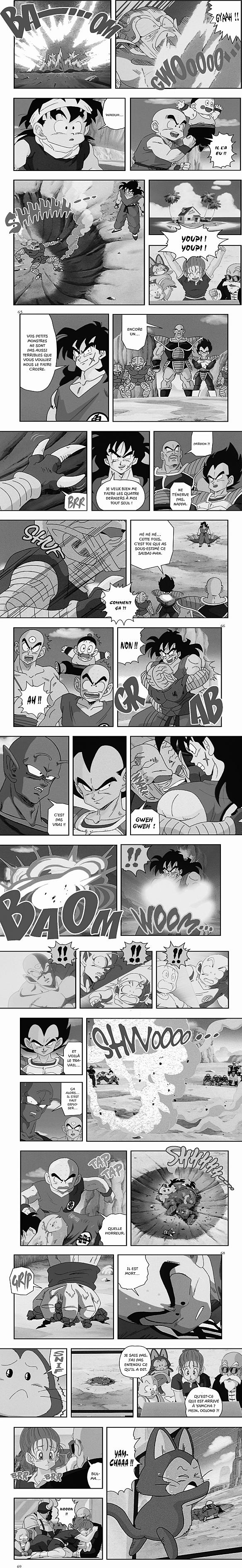 Read Dragon Ball Z FR Manga Online