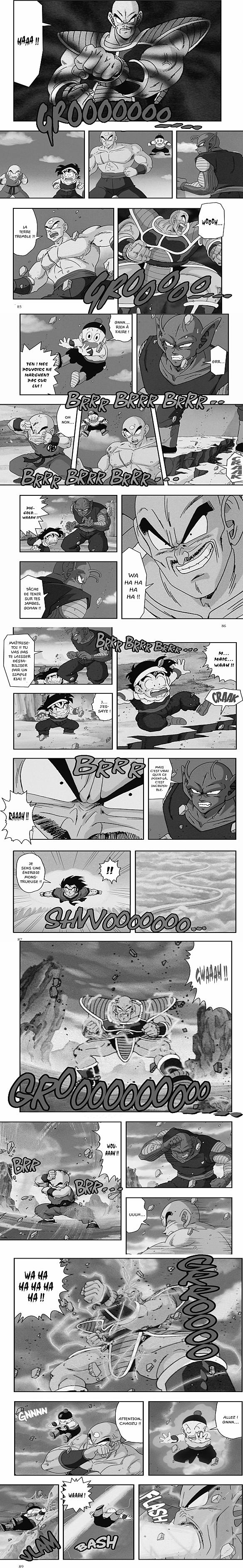 Read Dragon Ball Z FR Manga Online