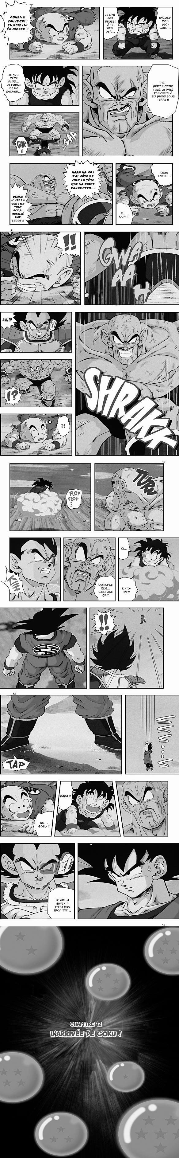 Read Dragon Ball Z FR Manga Online