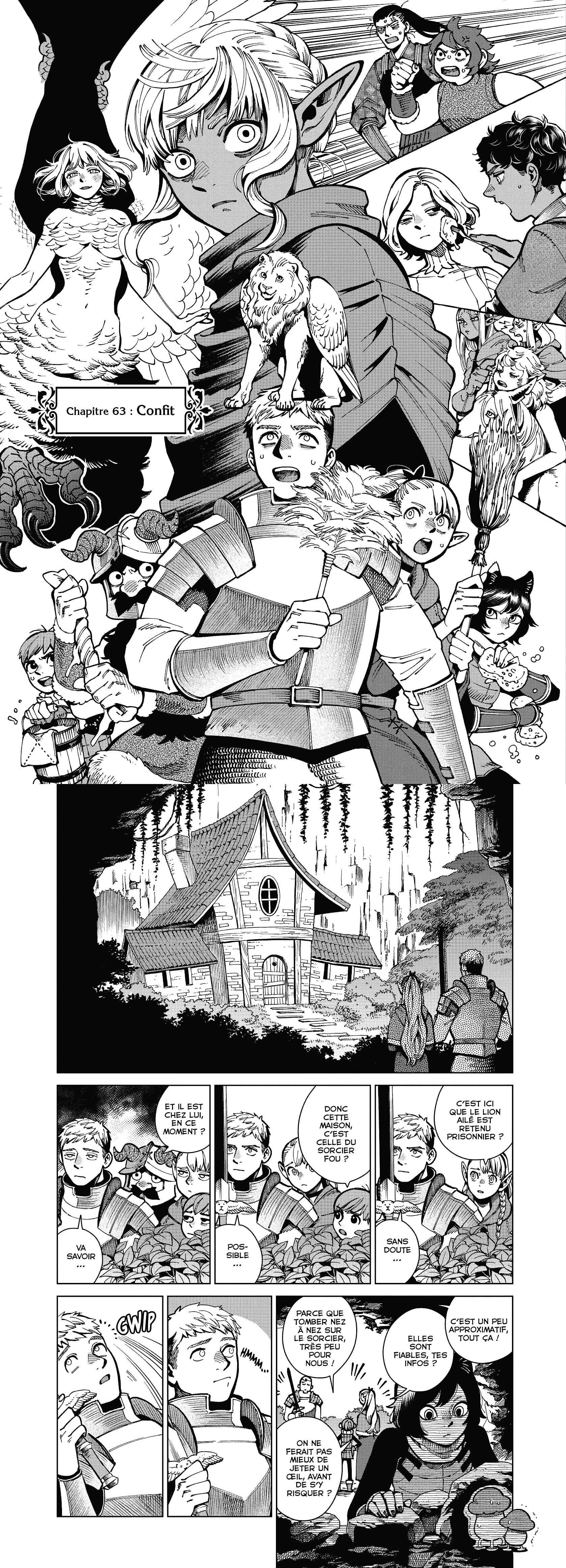 Read Dungeon Meshi FR Manga Online