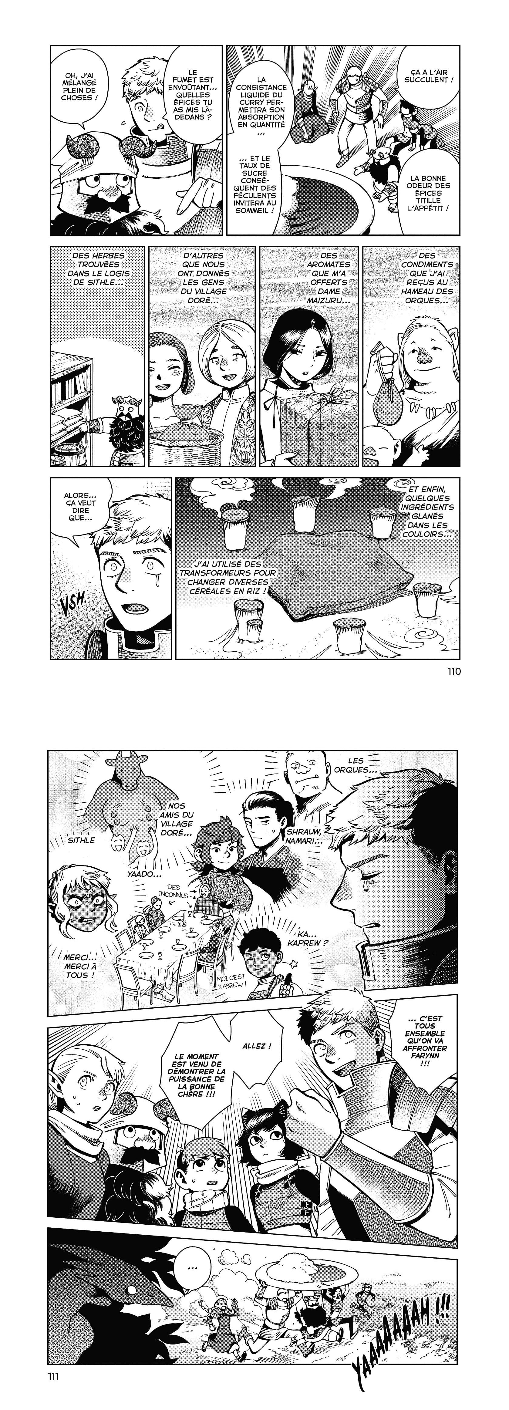 Read Dungeon Meshi FR Manga Online