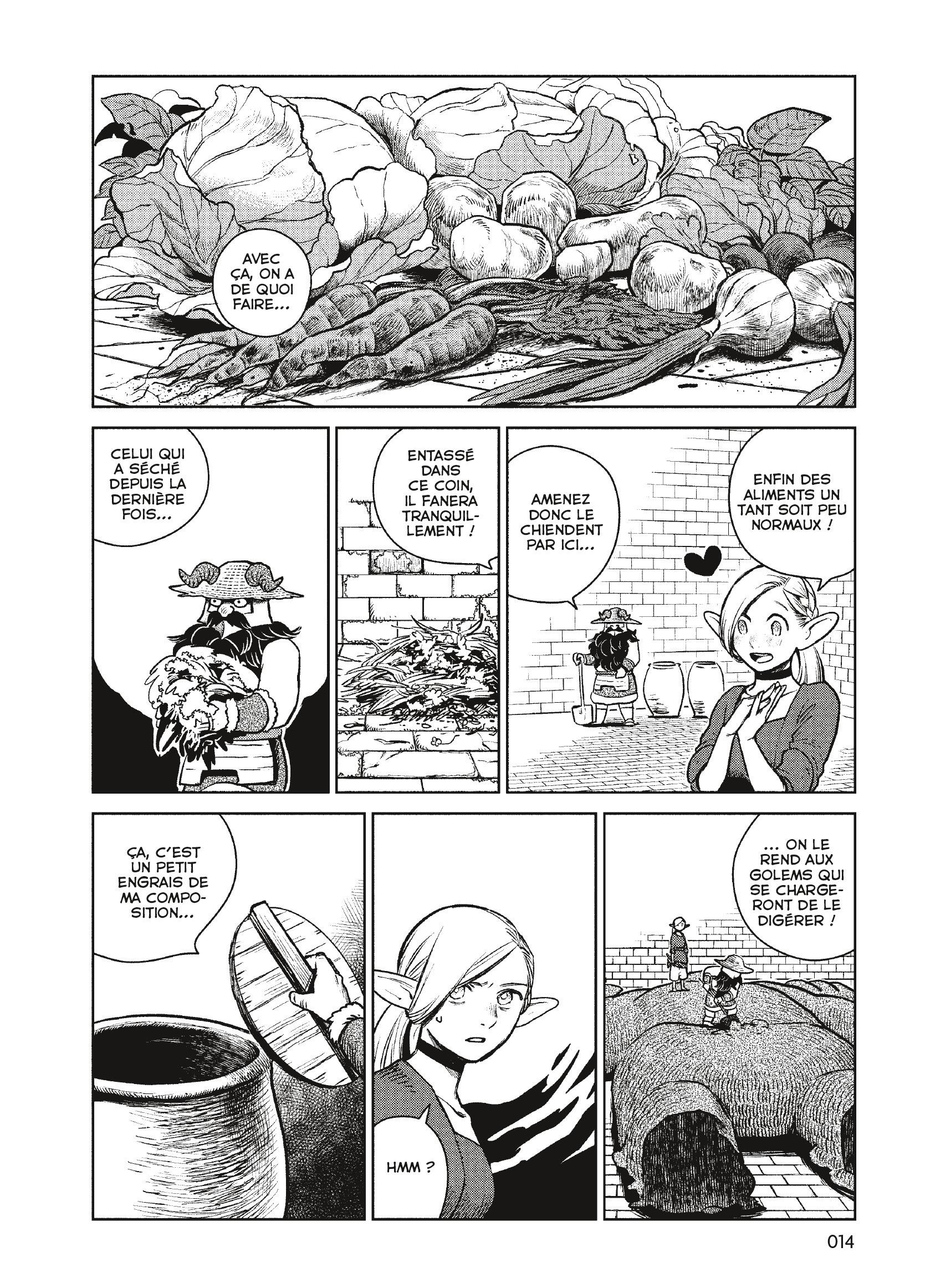 Read Dungeon Meshi FR Manga Online