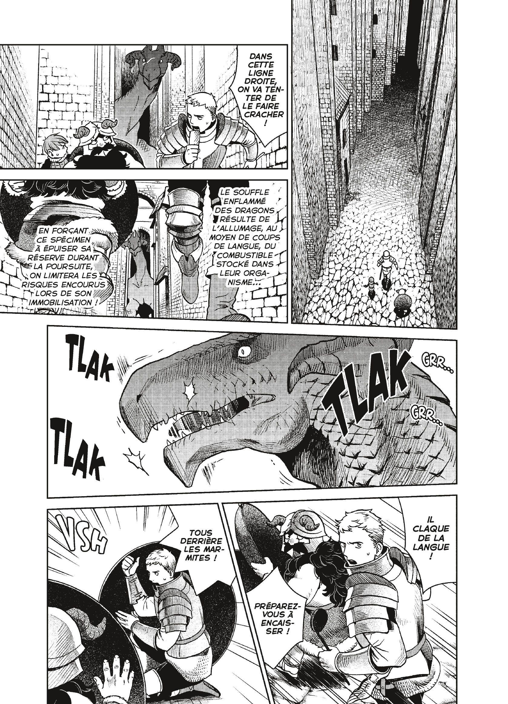 Read Dungeon Meshi FR Manga Online