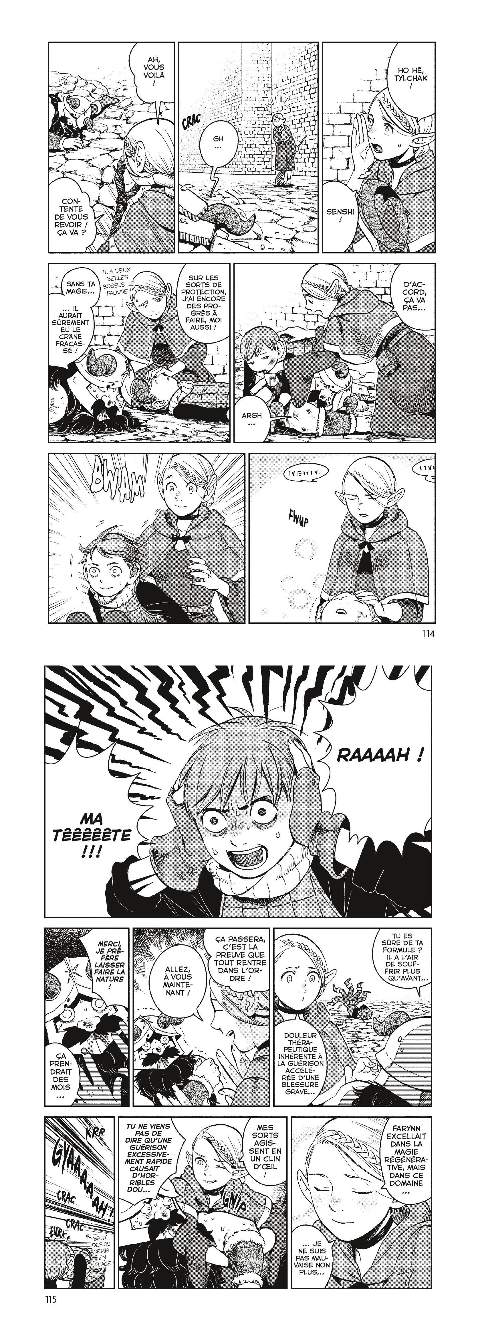 Read Dungeon Meshi FR Manga Online