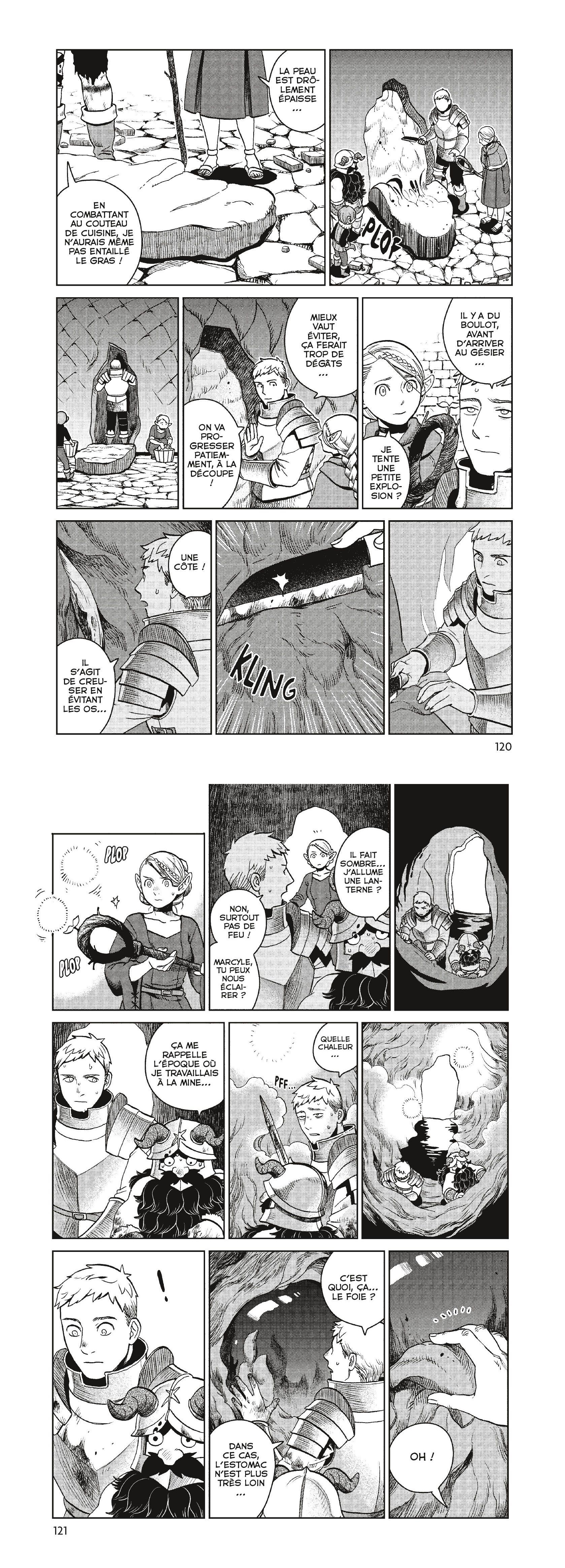 Read Dungeon Meshi FR Manga Online