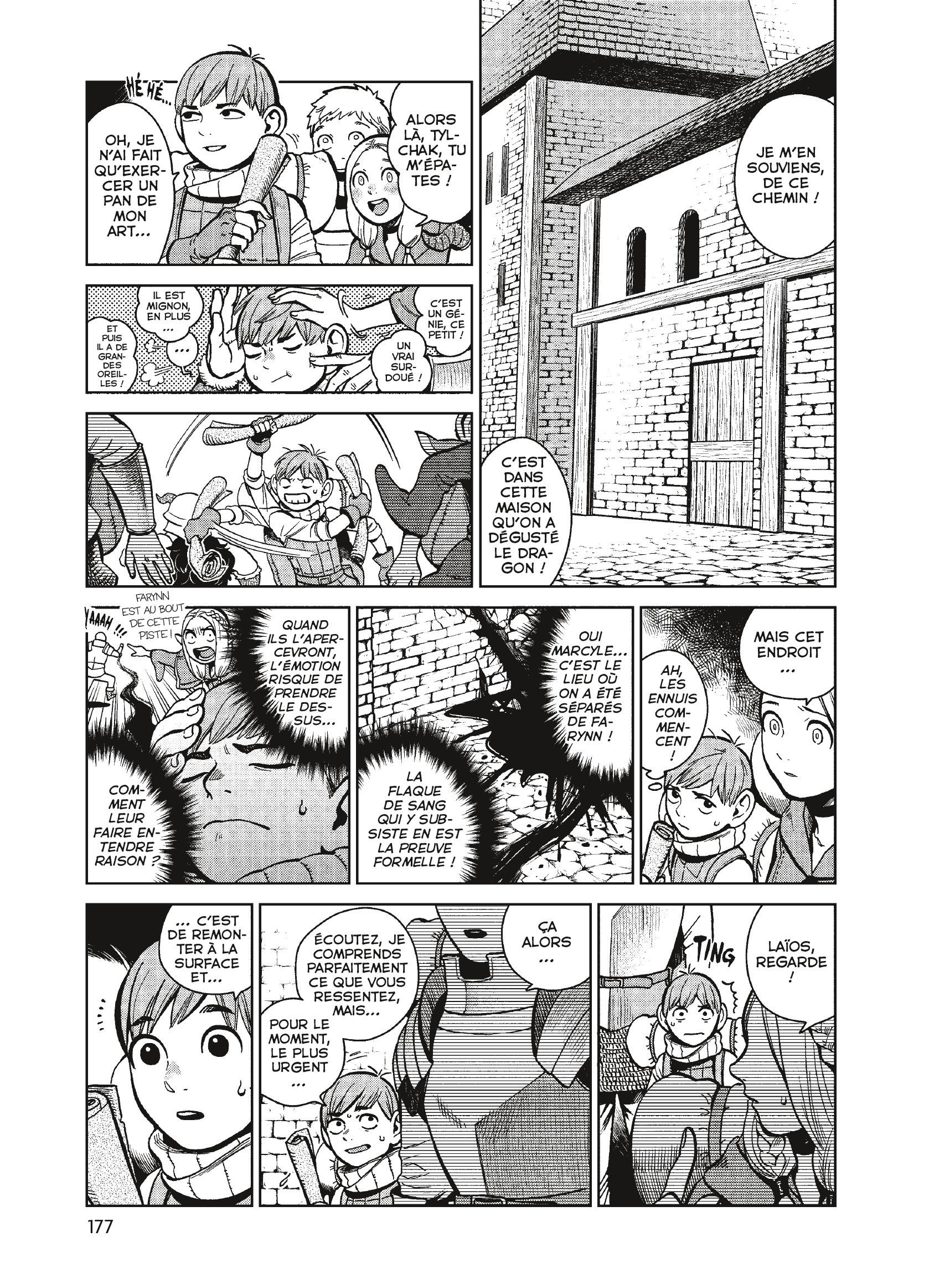Read Dungeon Meshi FR Manga Online