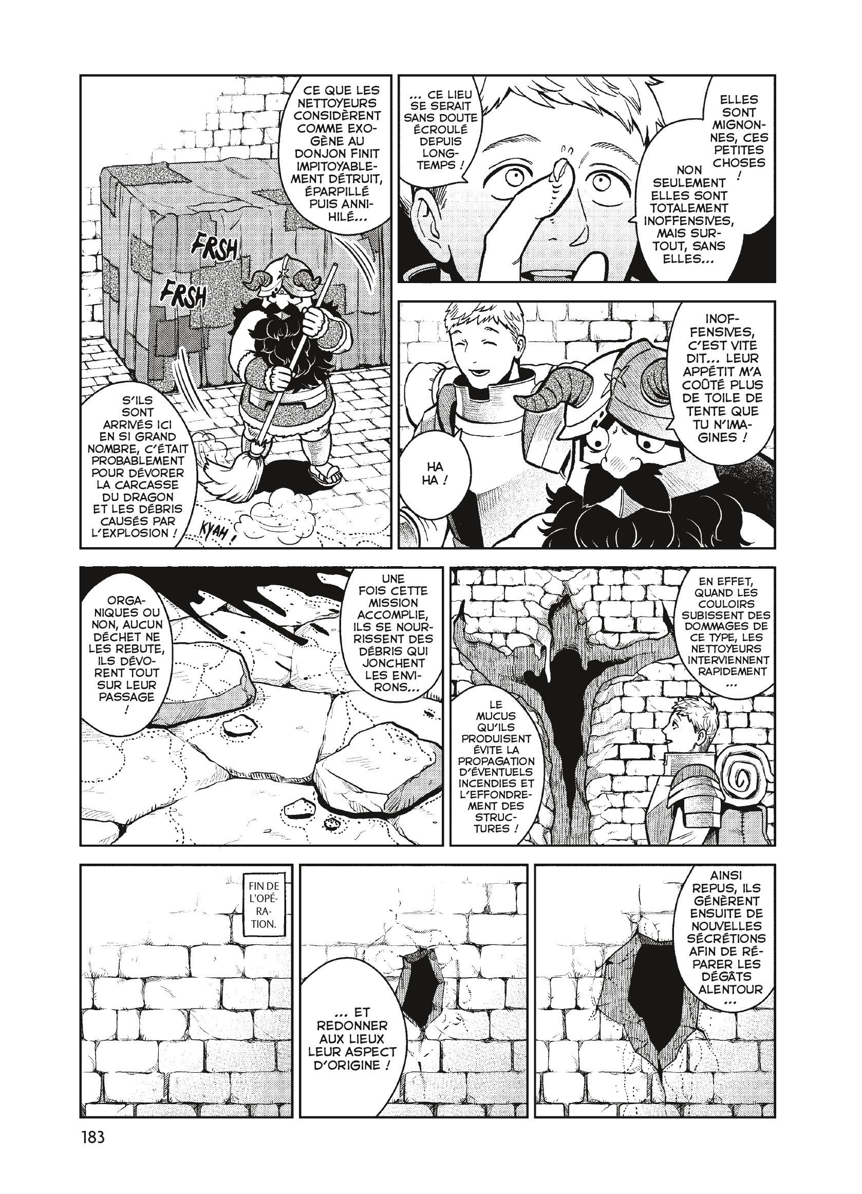Read Dungeon Meshi FR Manga Online