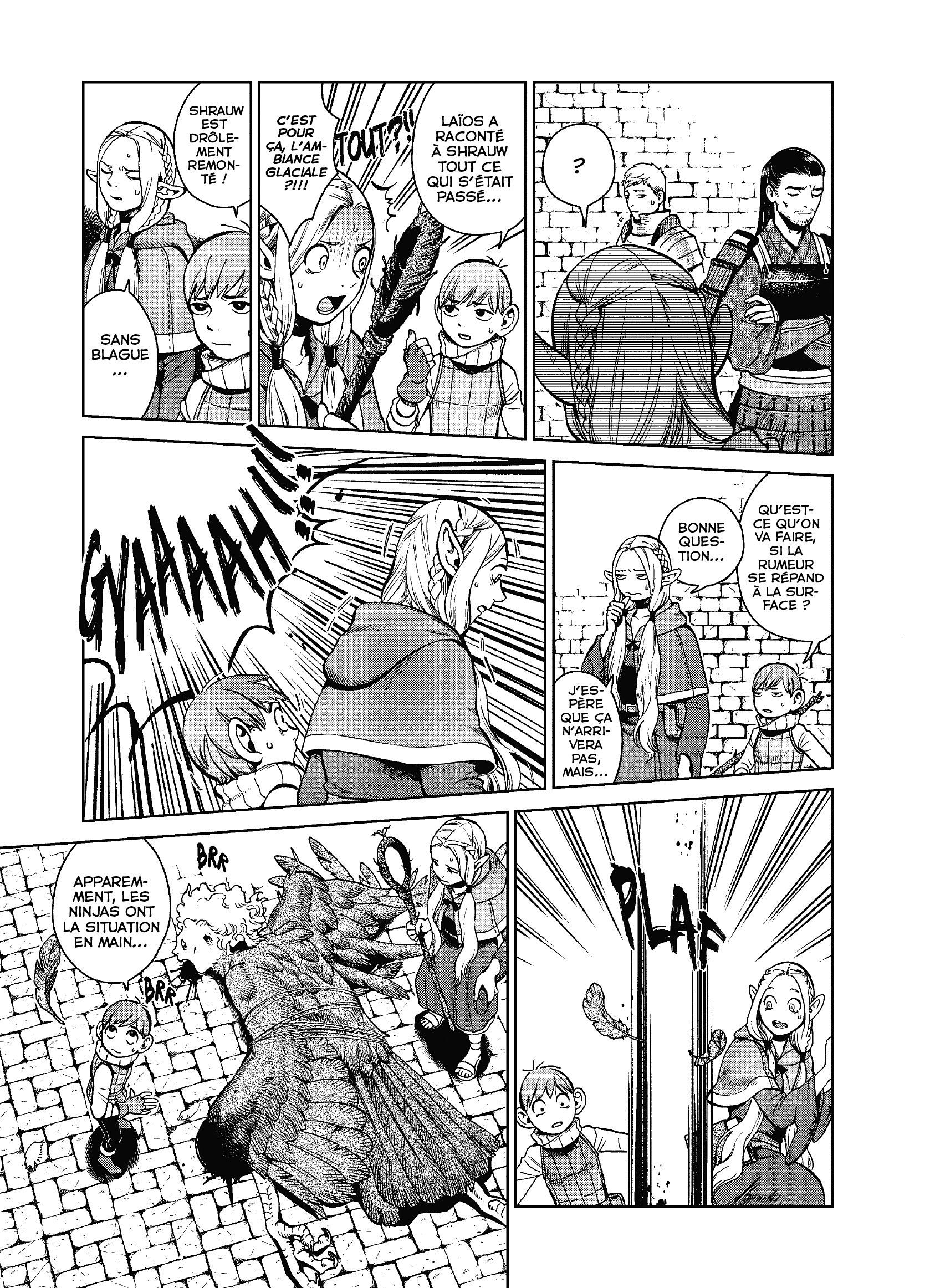 Read Dungeon Meshi FR Manga Online