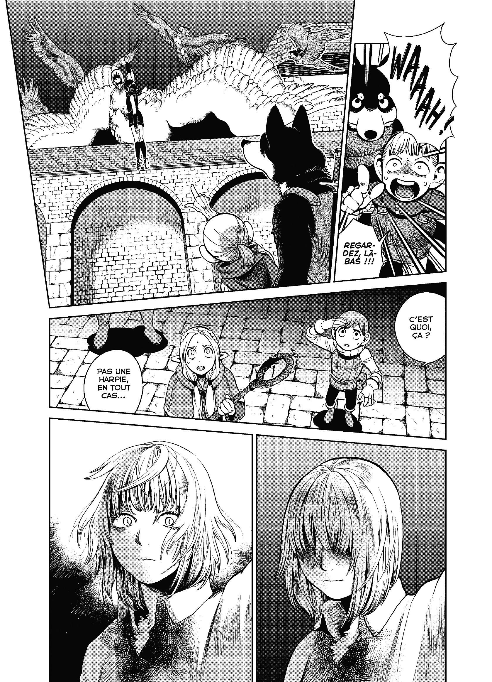 Read Dungeon Meshi FR Manga Online