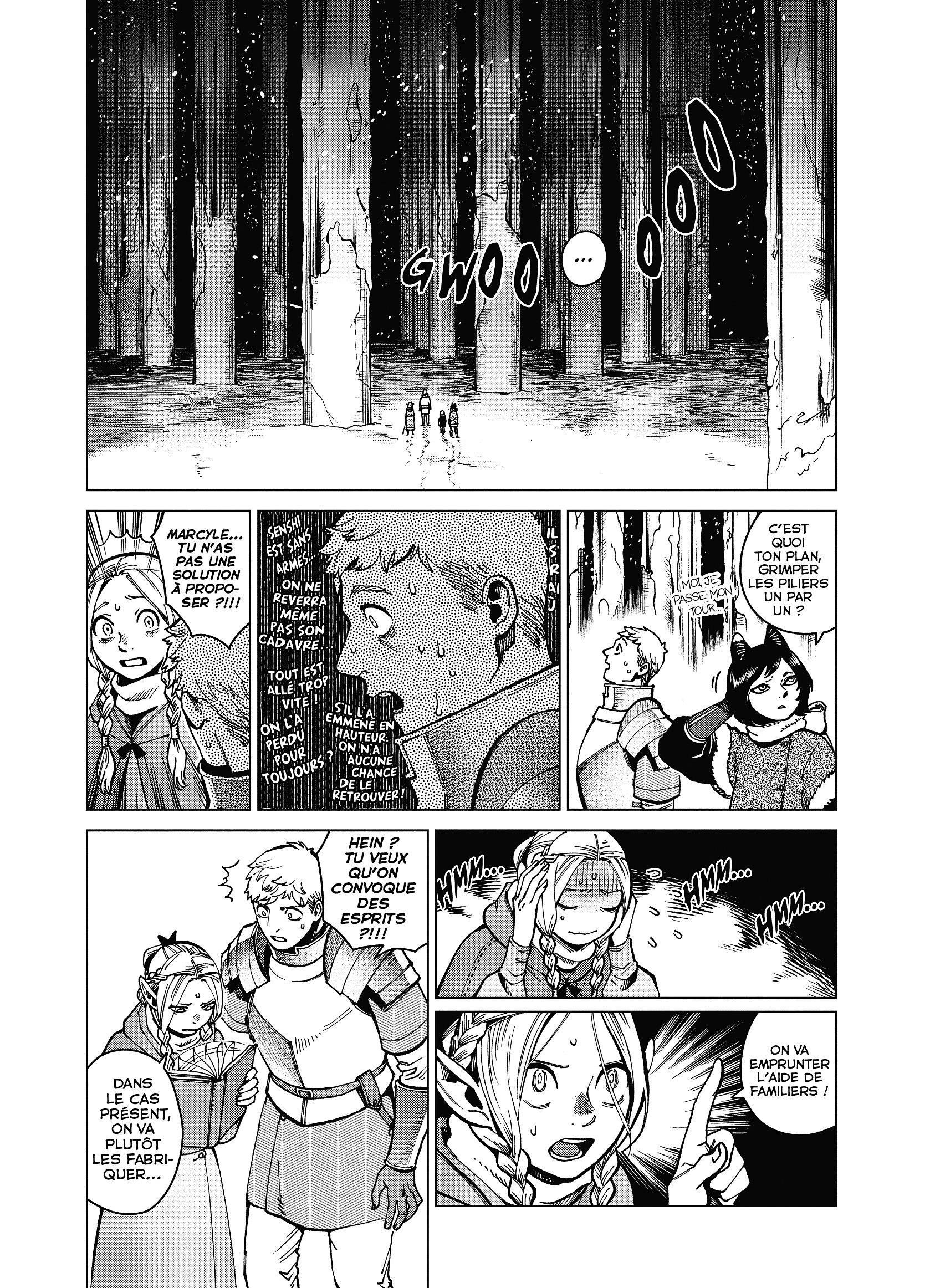 Read Dungeon Meshi FR Manga Online