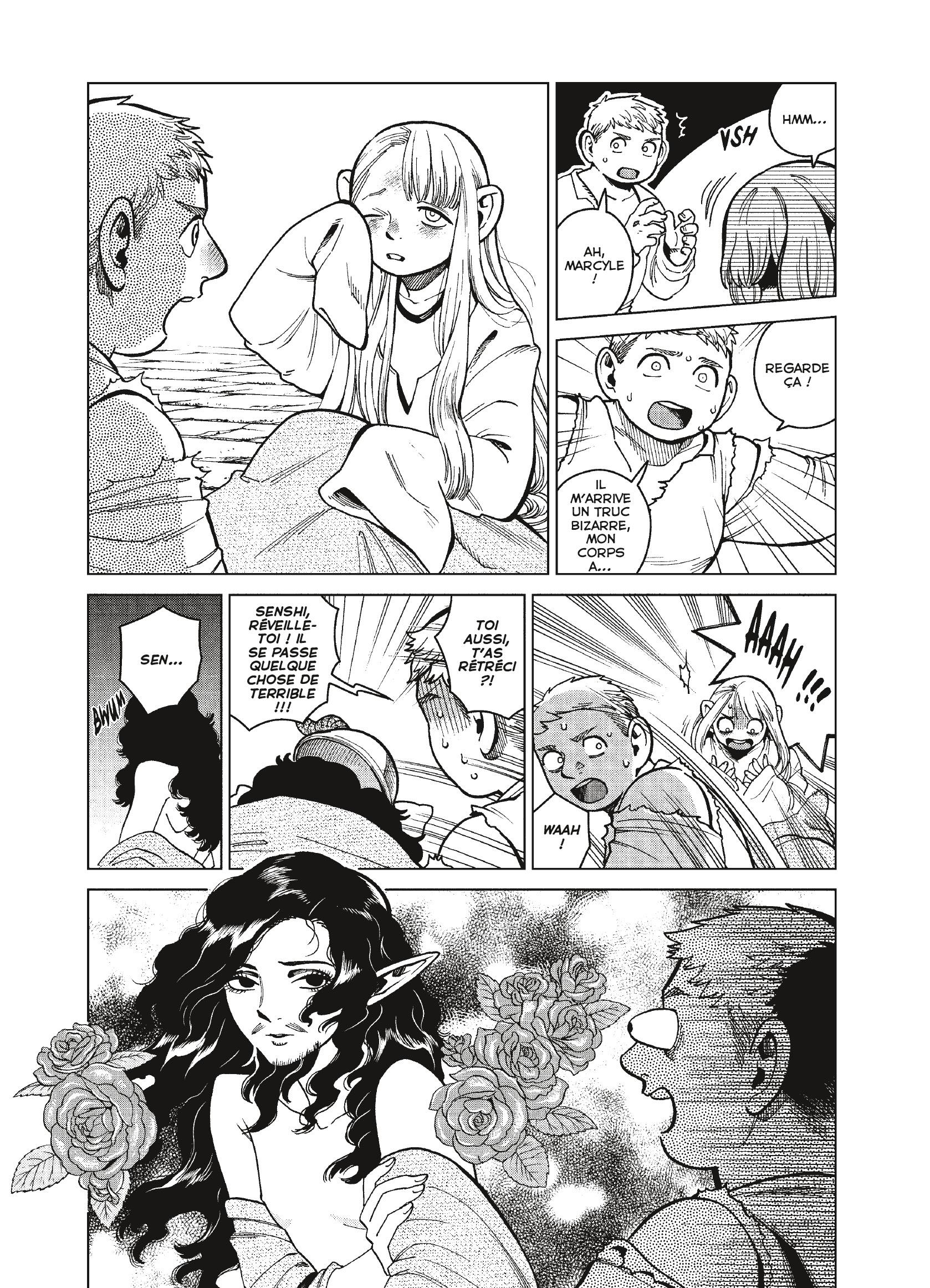 Read Dungeon Meshi FR Manga Online