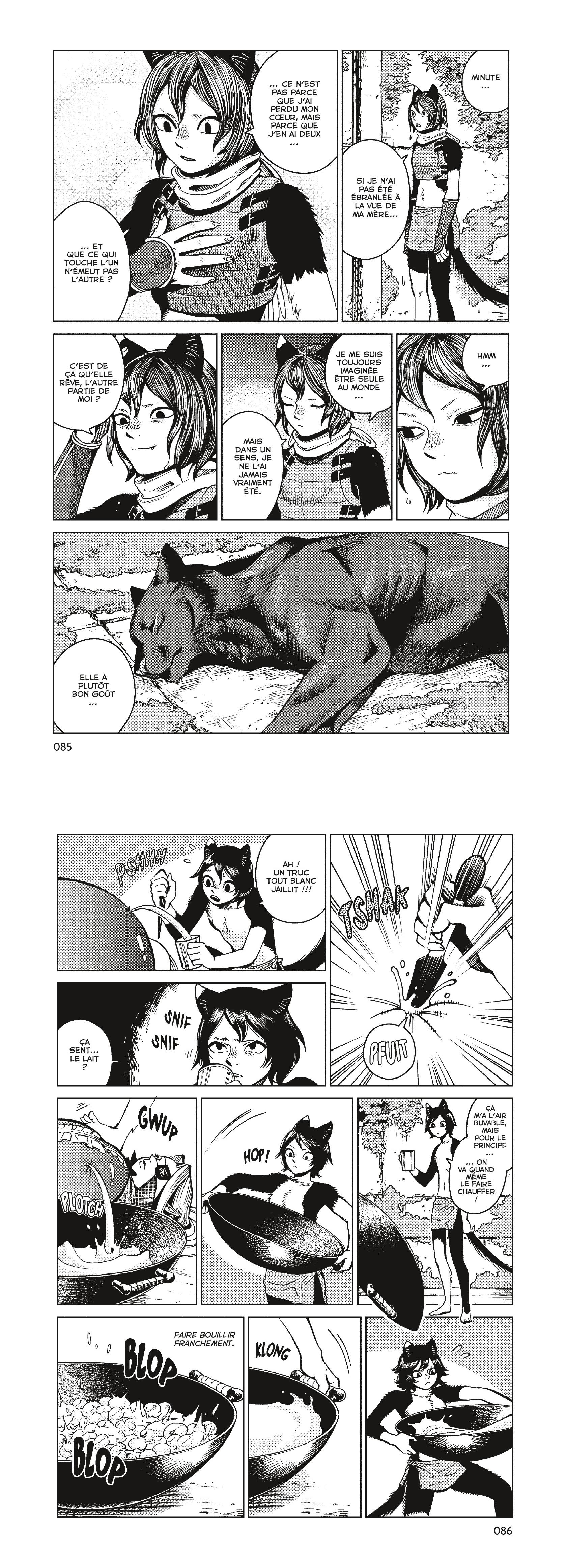 Read Dungeon Meshi FR Manga Online