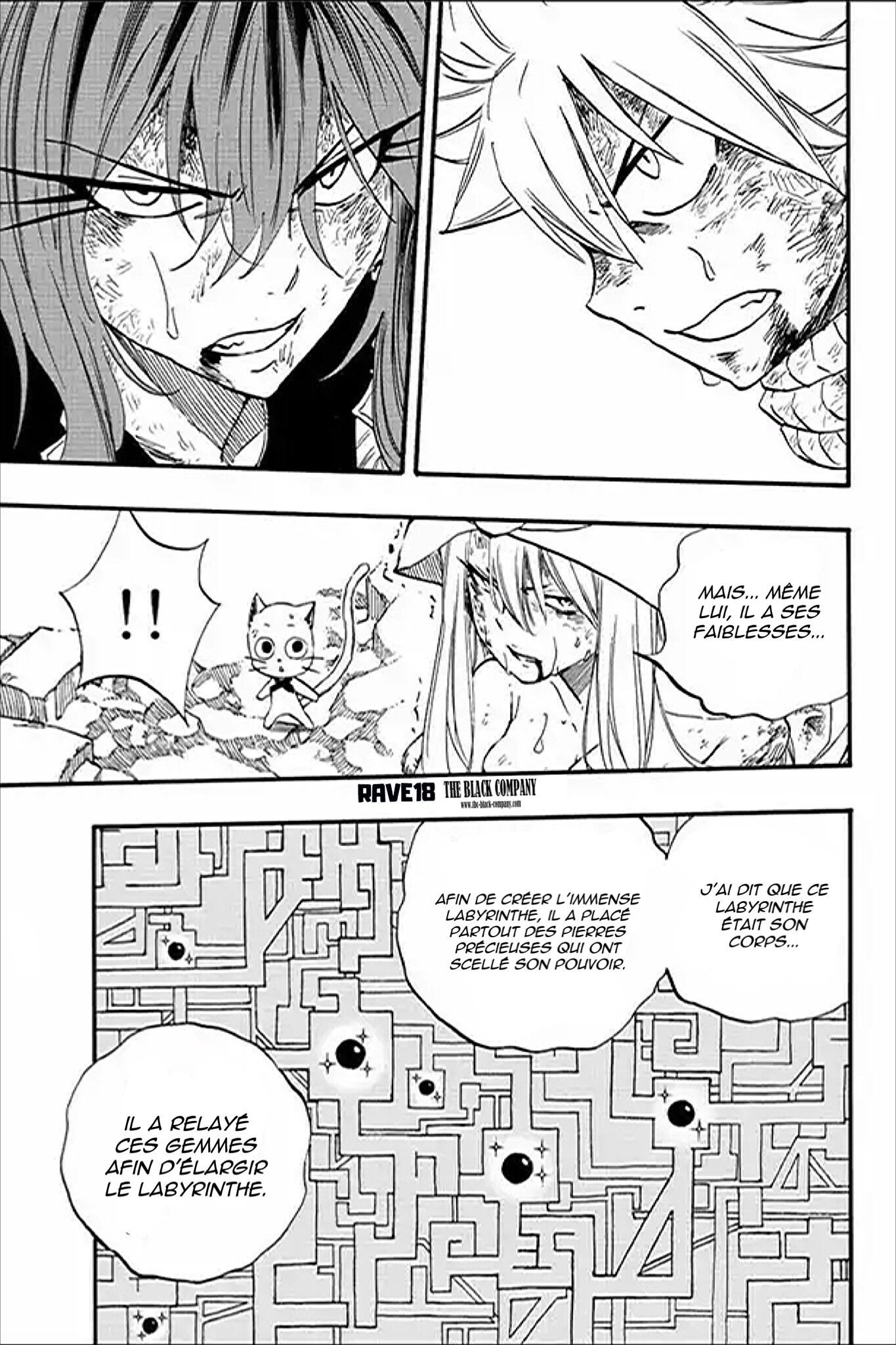 Read Fairy Tail 100 Years Quest FR Manga Online