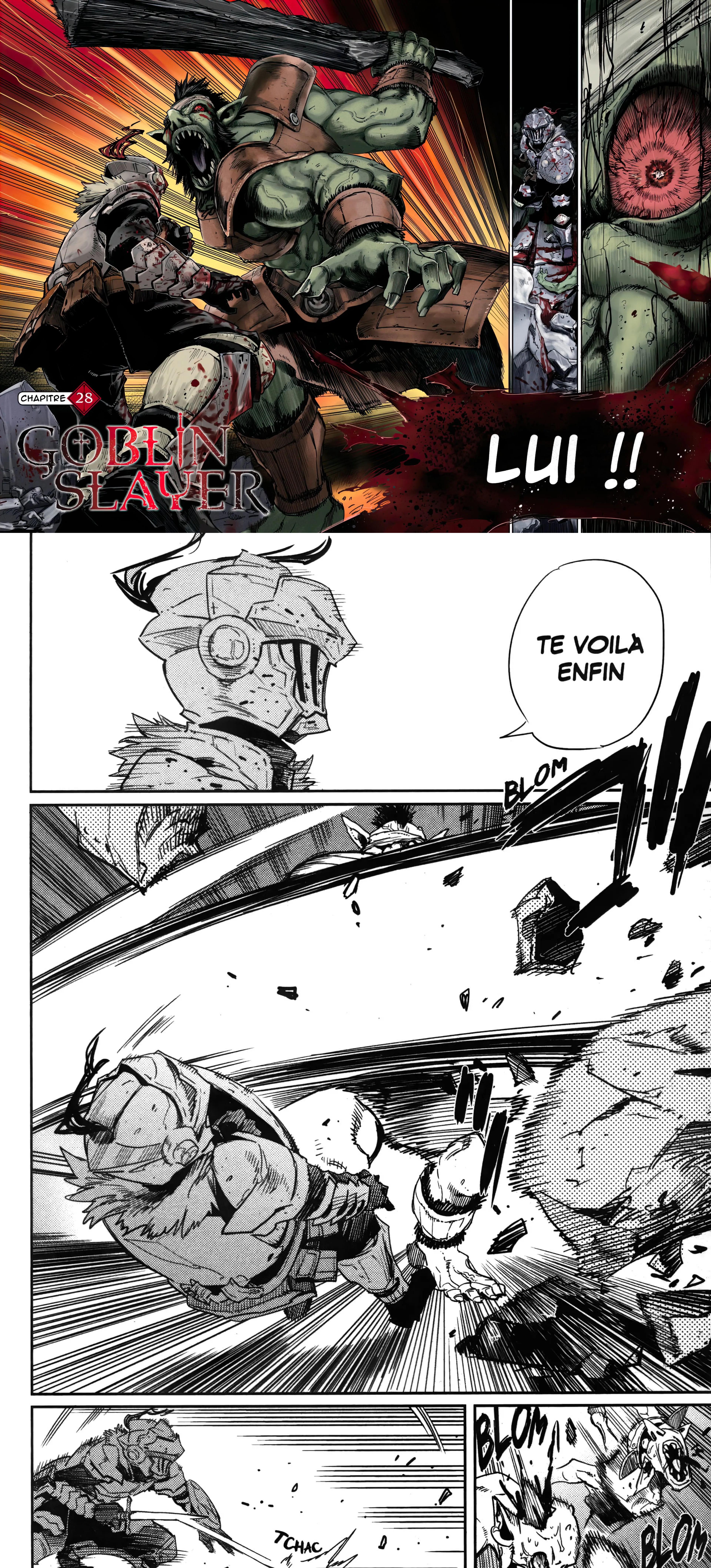 Read Goblin Slayer FR Manga Online