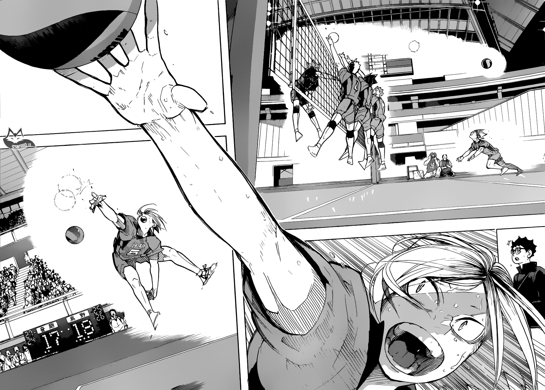 Read Haikyuu FR Manga Online
