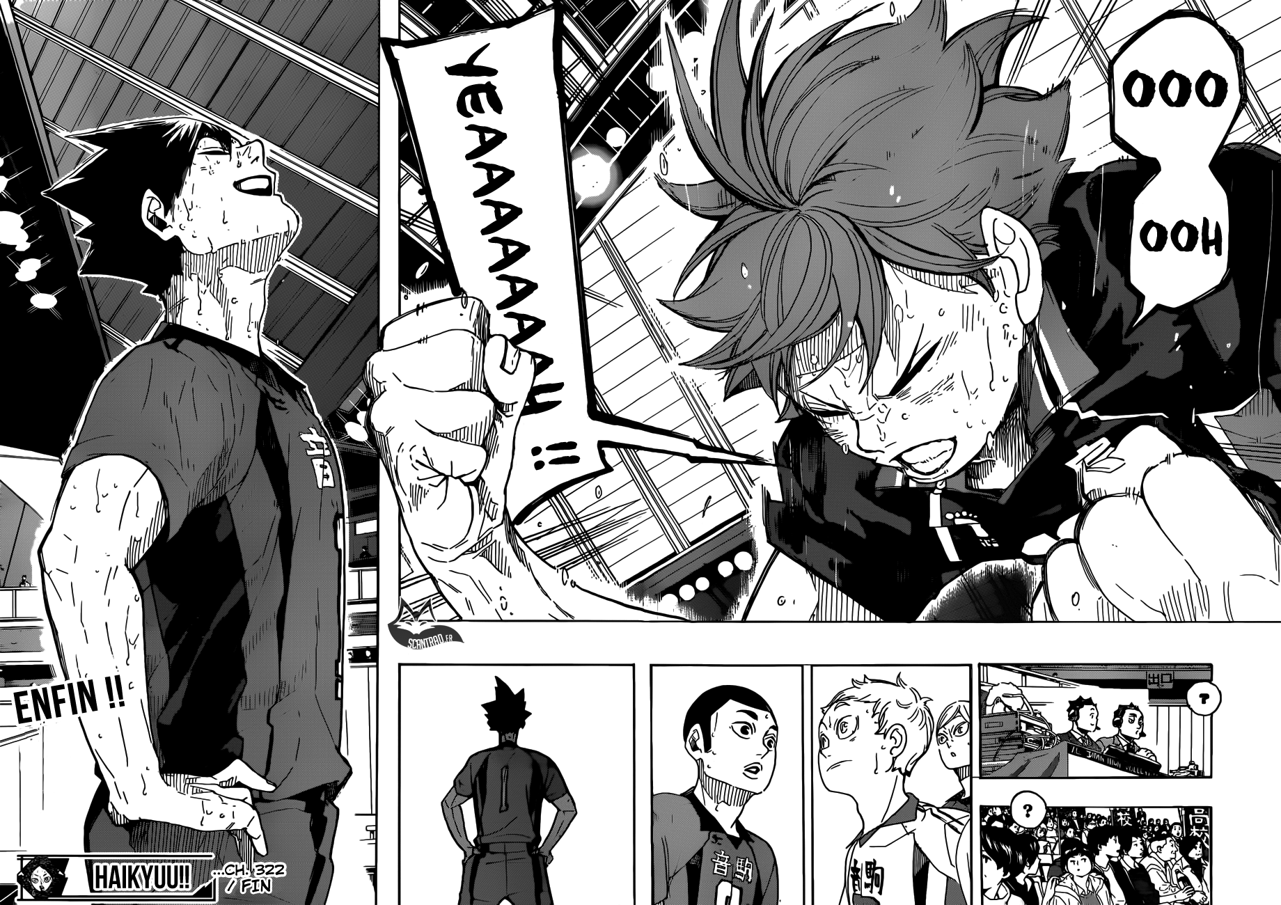 Read Haikyuu FR Manga Online