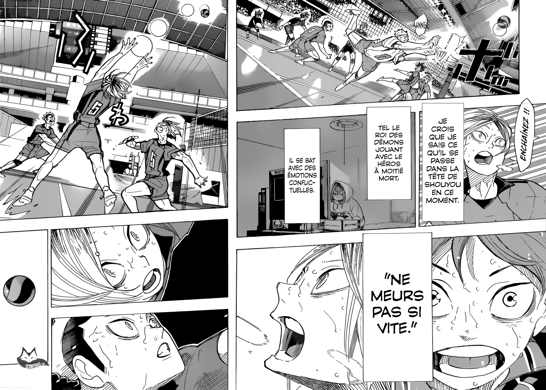 Read Haikyuu FR Manga Online