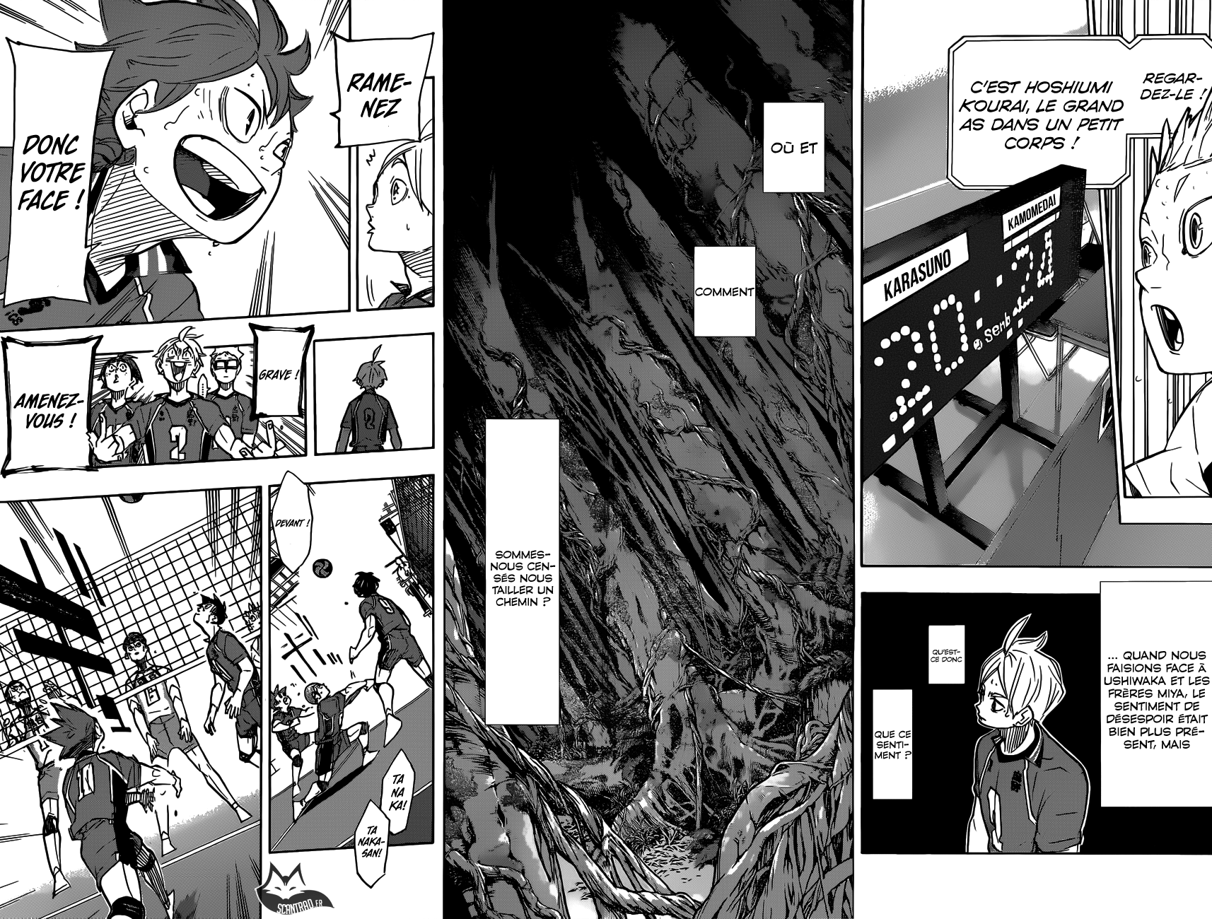 Read Haikyuu FR Manga Online