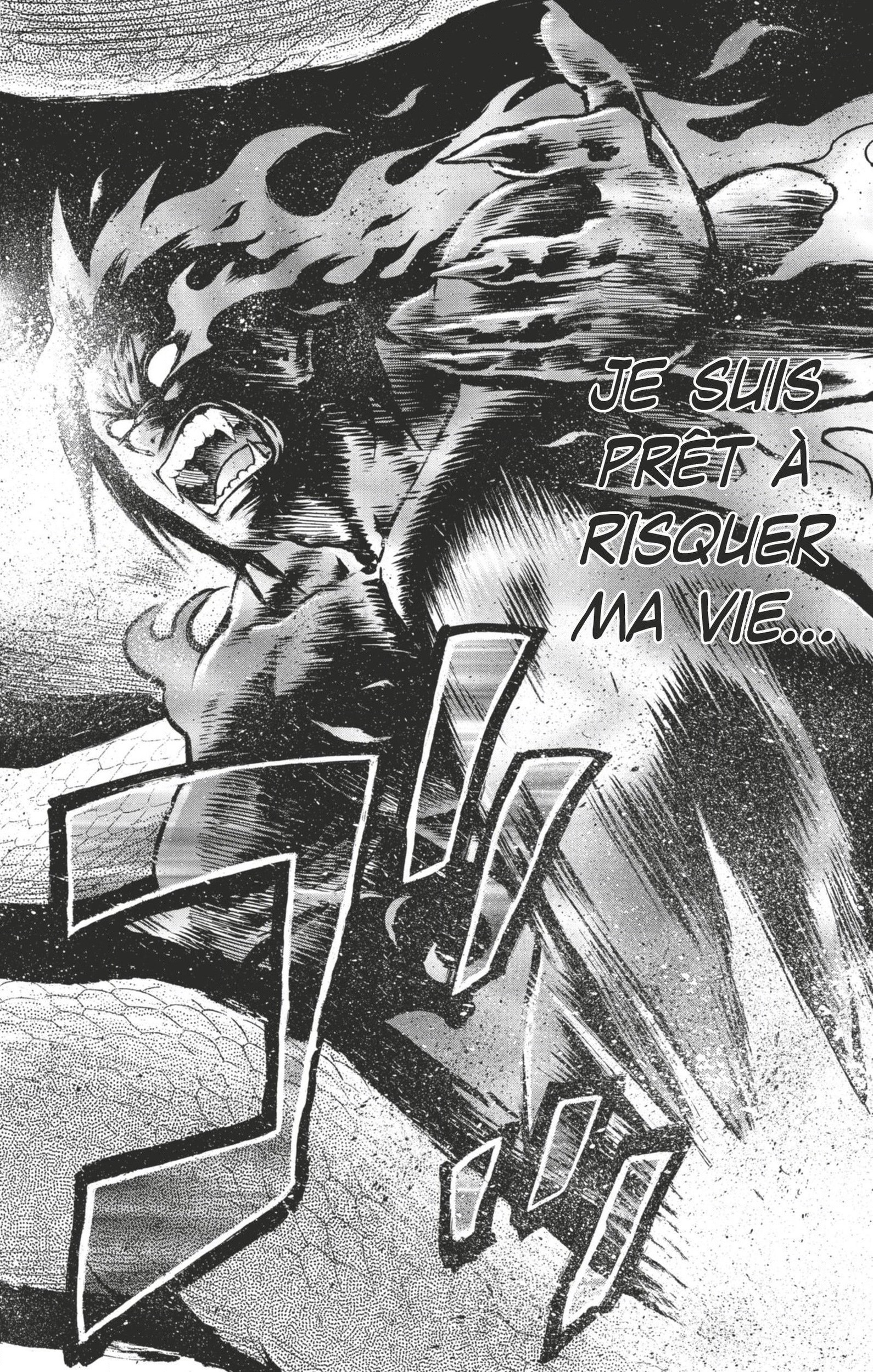 Read Hinomaru Zumou FR Manga Online