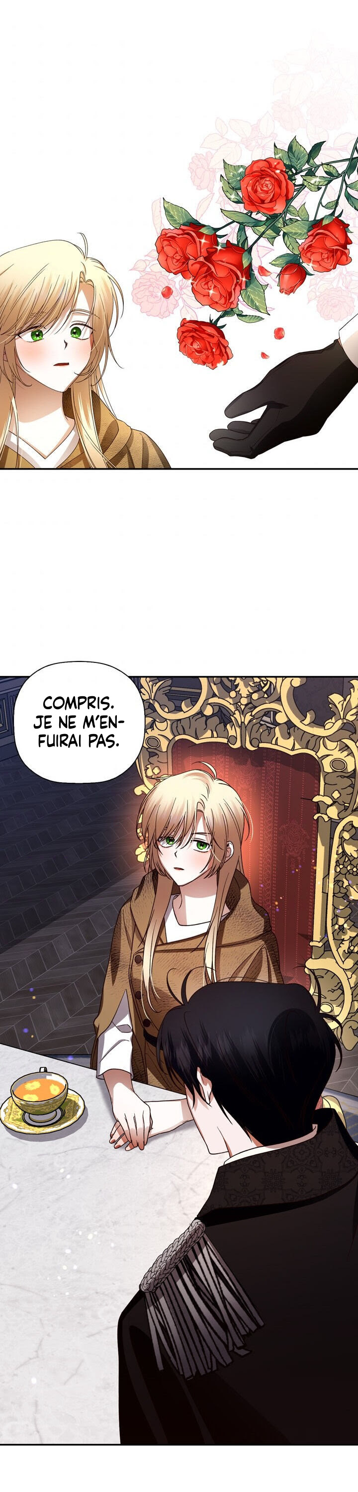 Read How To Hide The Emperor s Child FR Manga Online