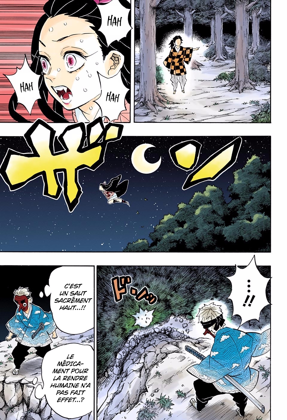 Read Kimetsu No Yaiba FR Manga Online