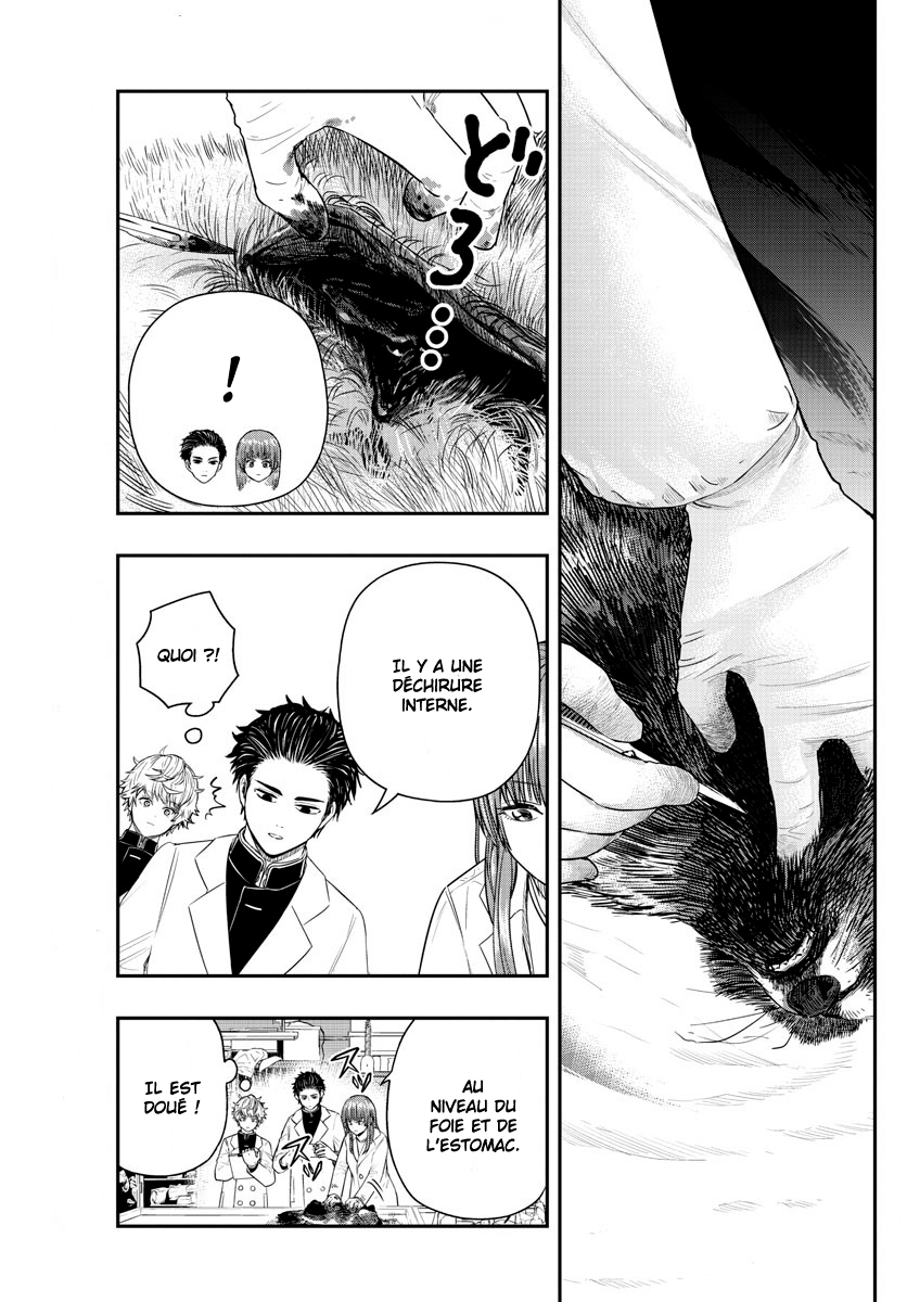 Read Last Karte FR Manga Online