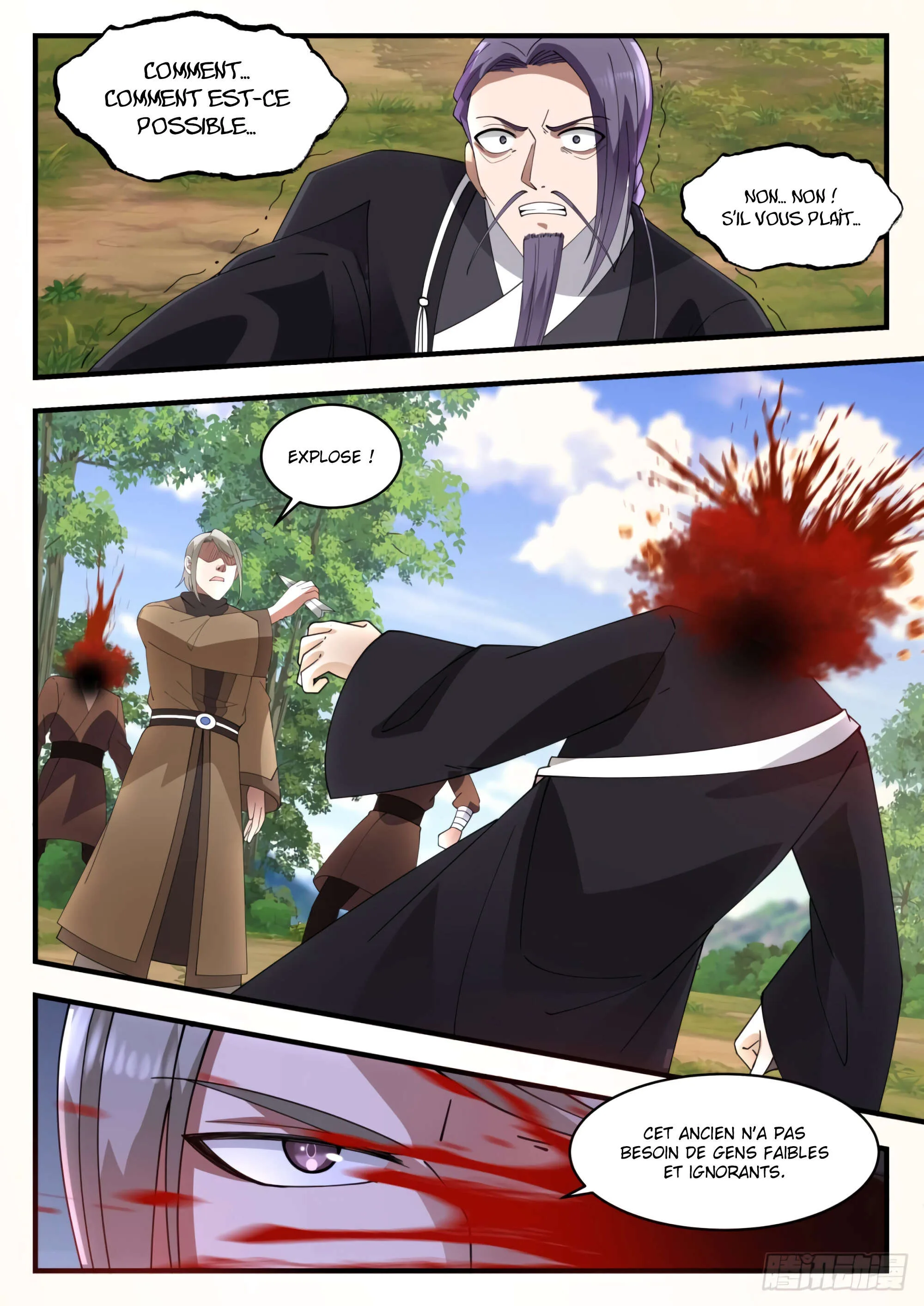Read Martial Peak FR Manga Online