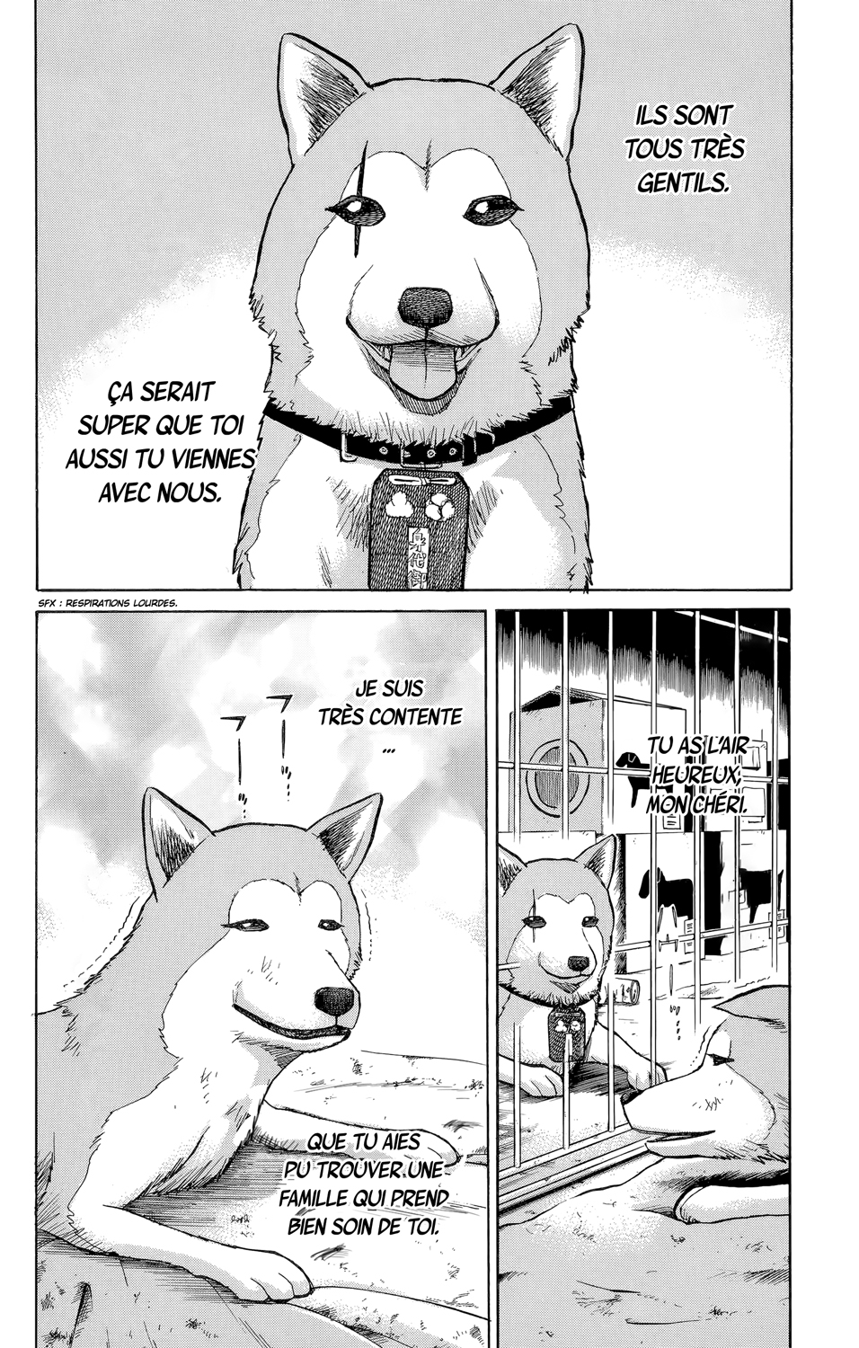 Read NANBA MG5 FR Manga Online