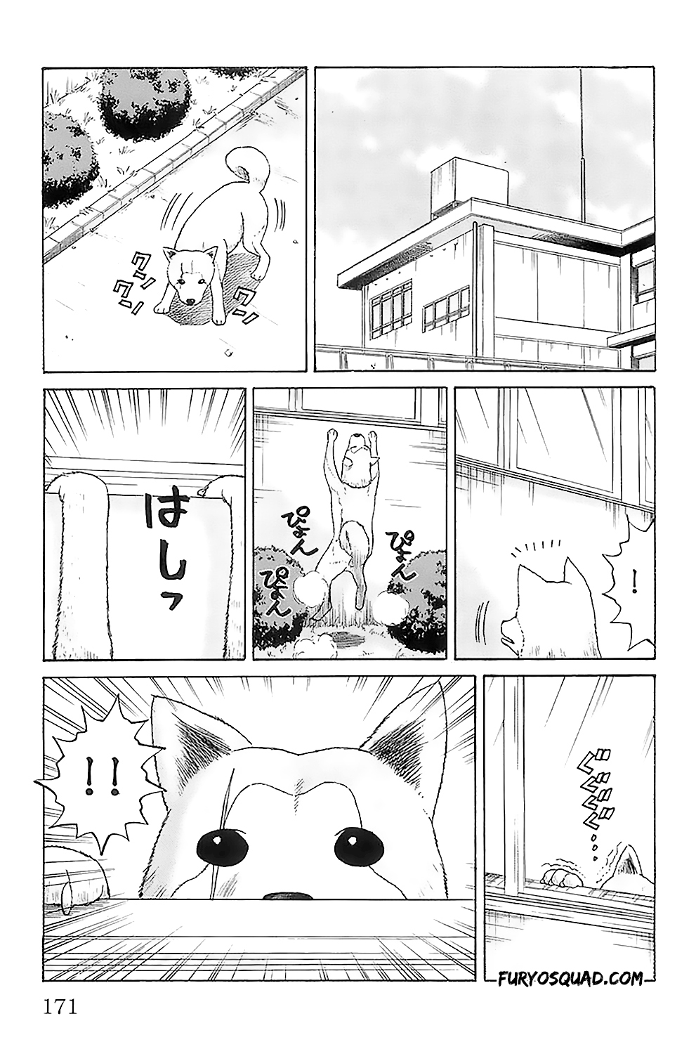 Read NANBA MG5 FR Manga Online