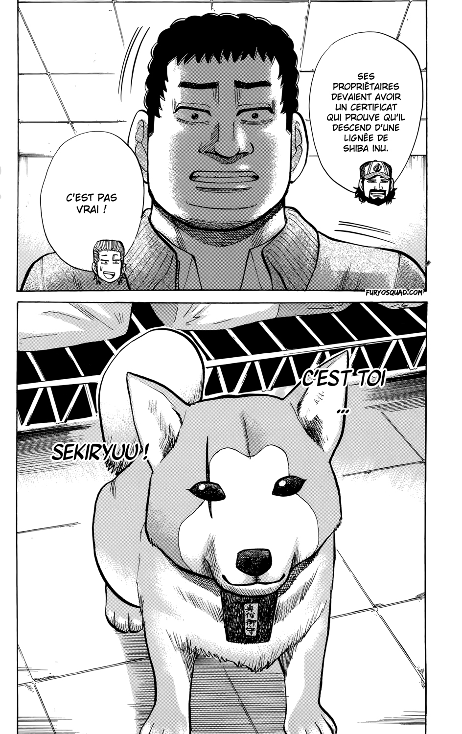 Read NANBA MG5 FR Manga Online