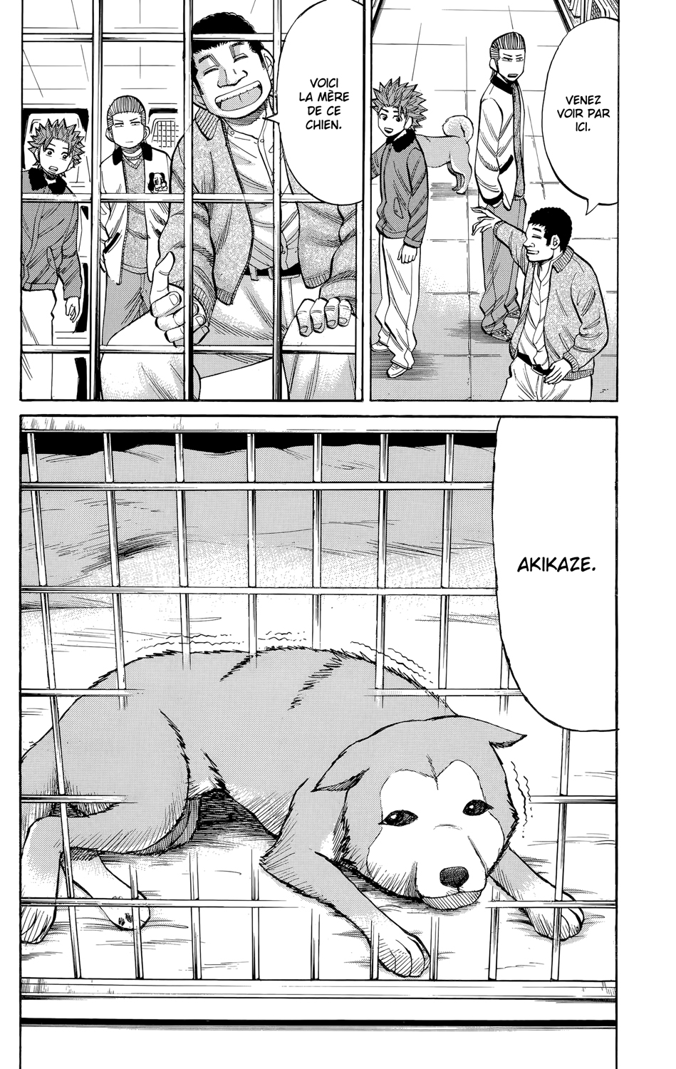 Read NANBA MG5 FR Manga Online